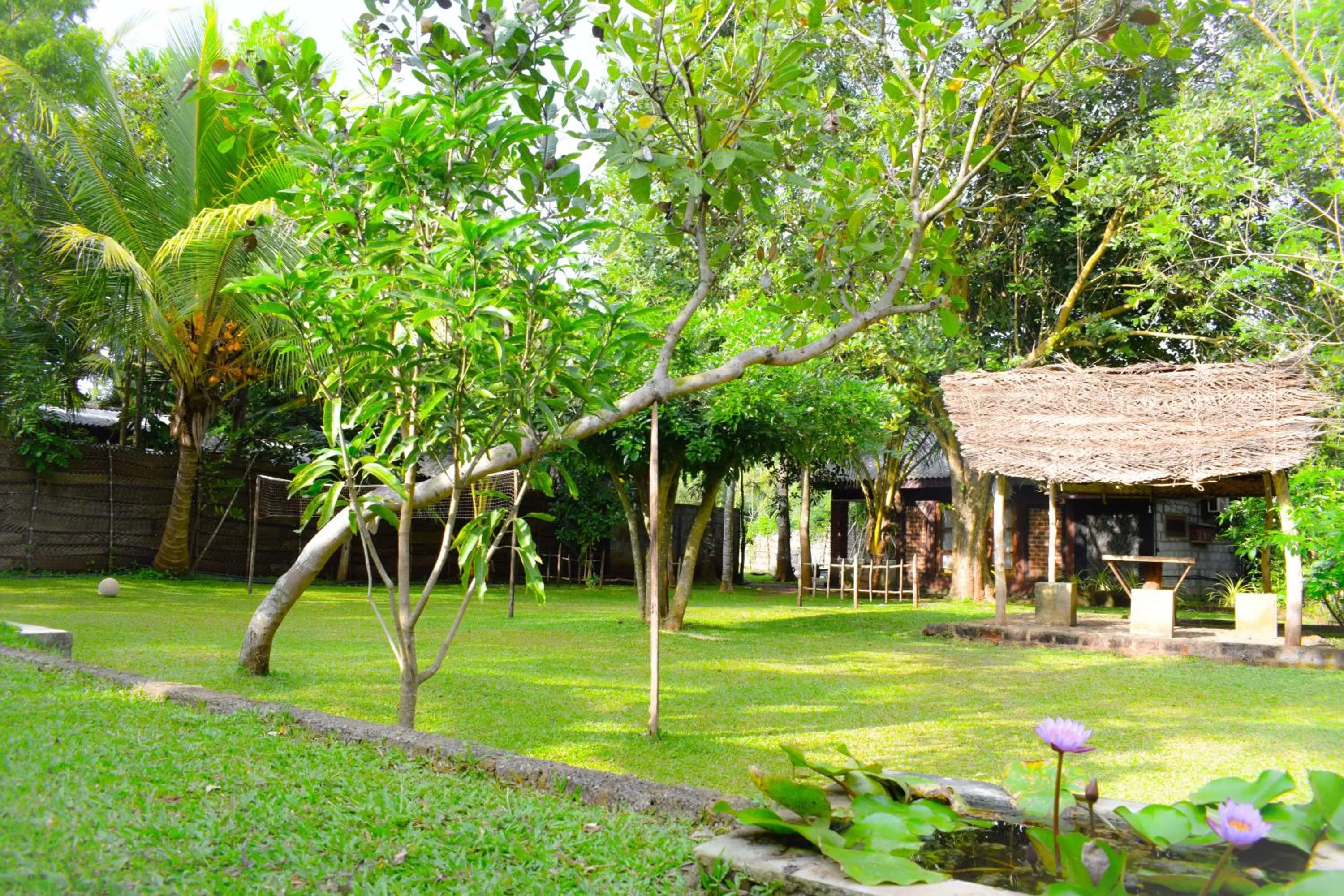 Garden in Green Cottage