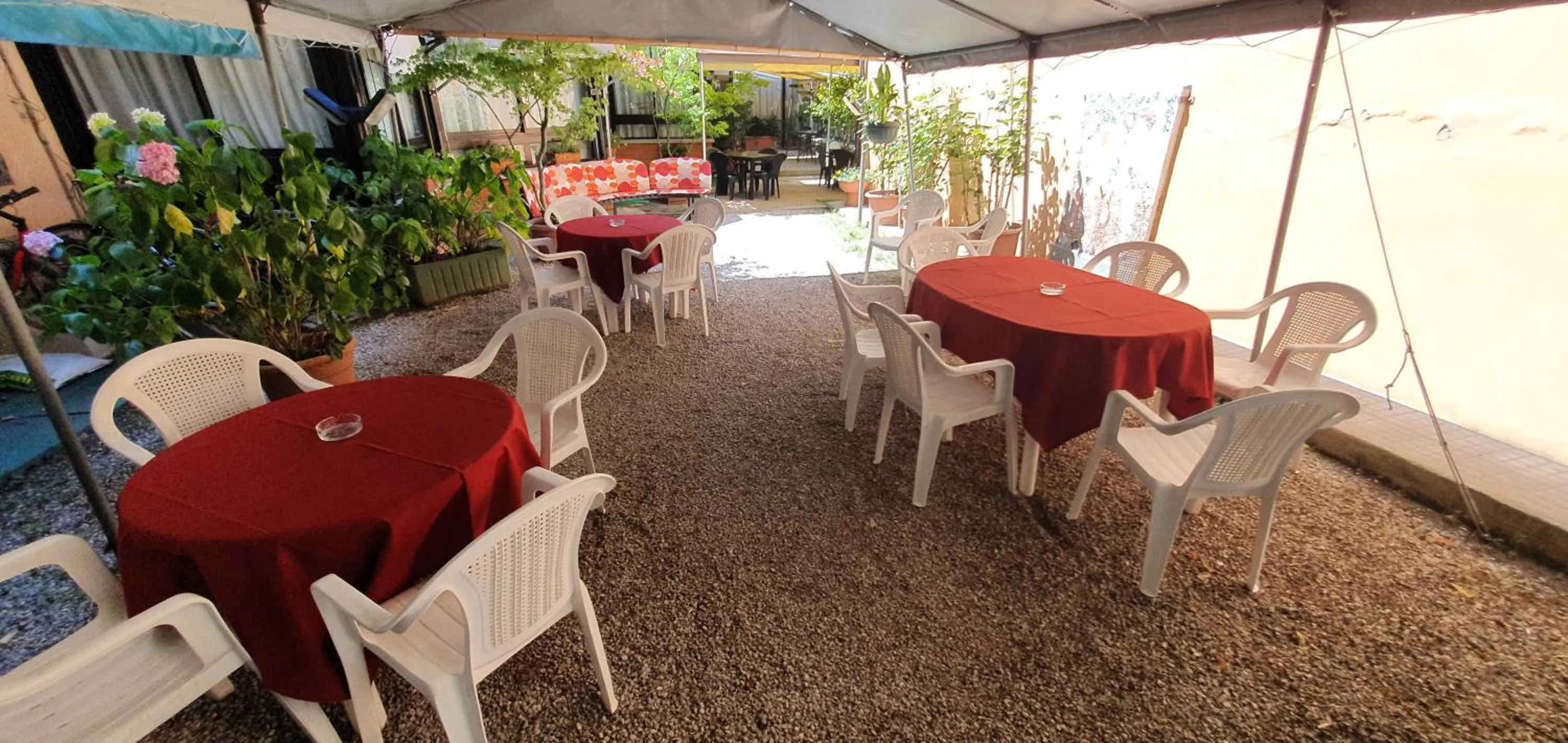 Garden in Hotel Giovanna