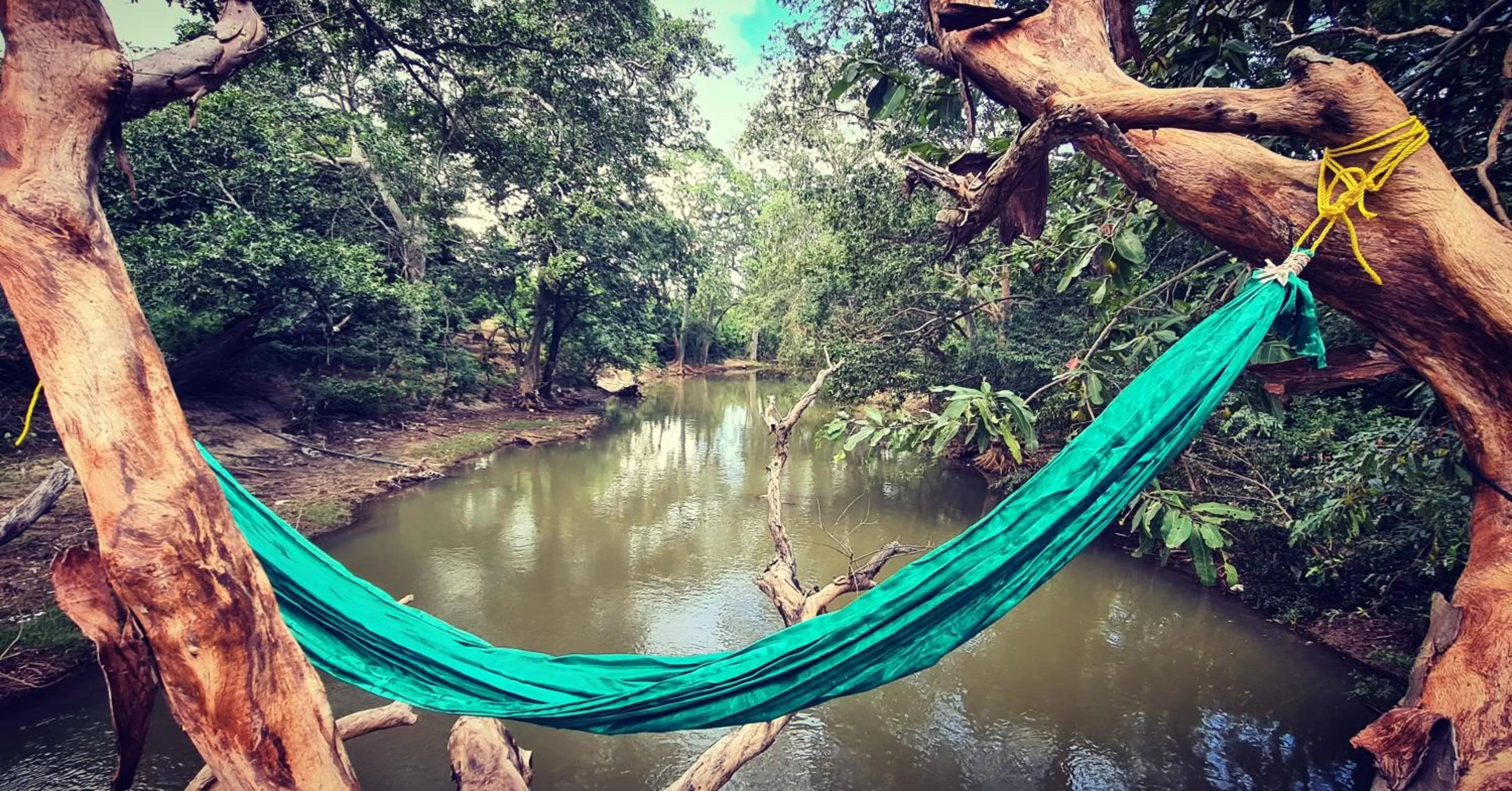 Jungle river humbhaha hostel