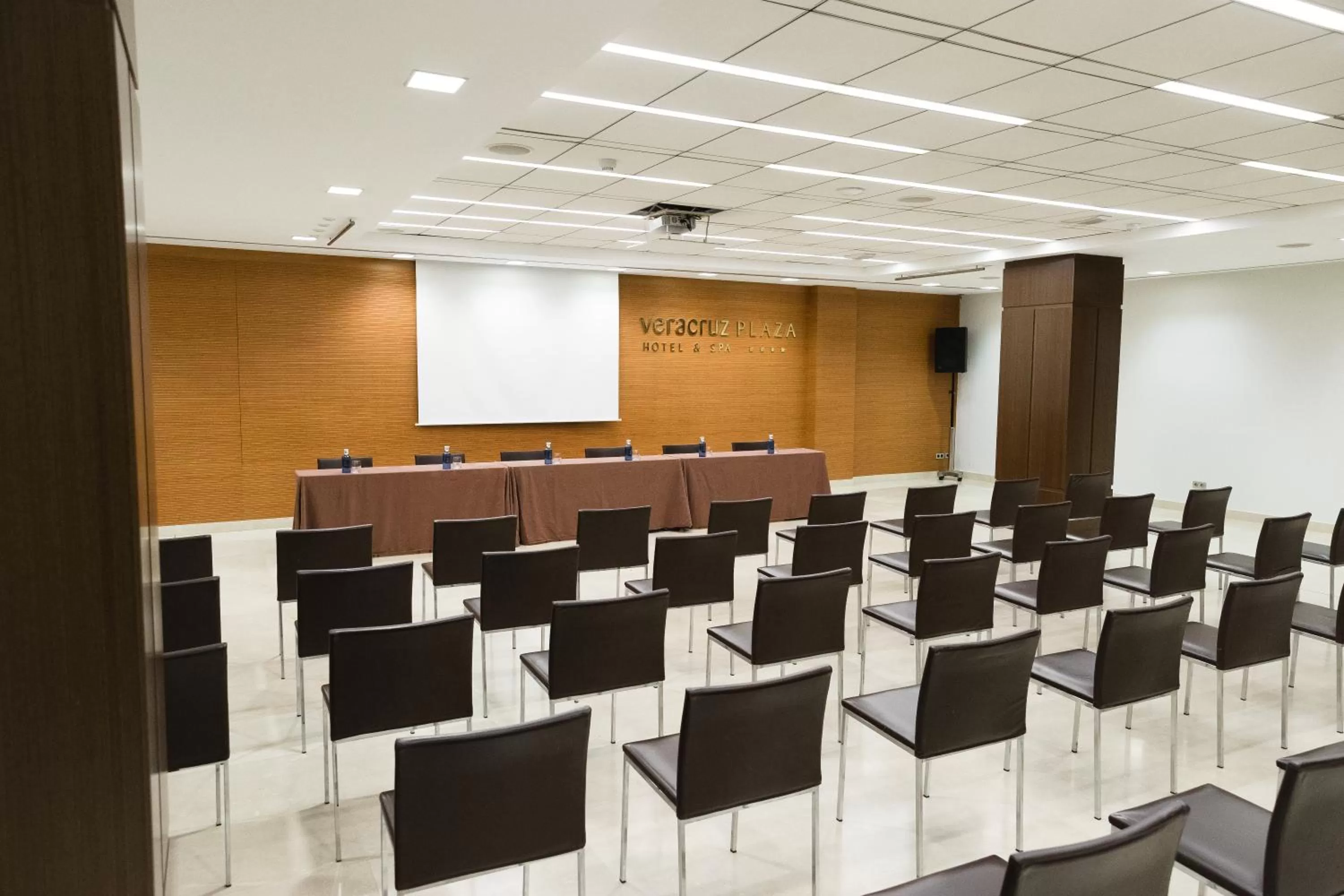 Business facilities in Hotel Veracruz Plaza & Spa