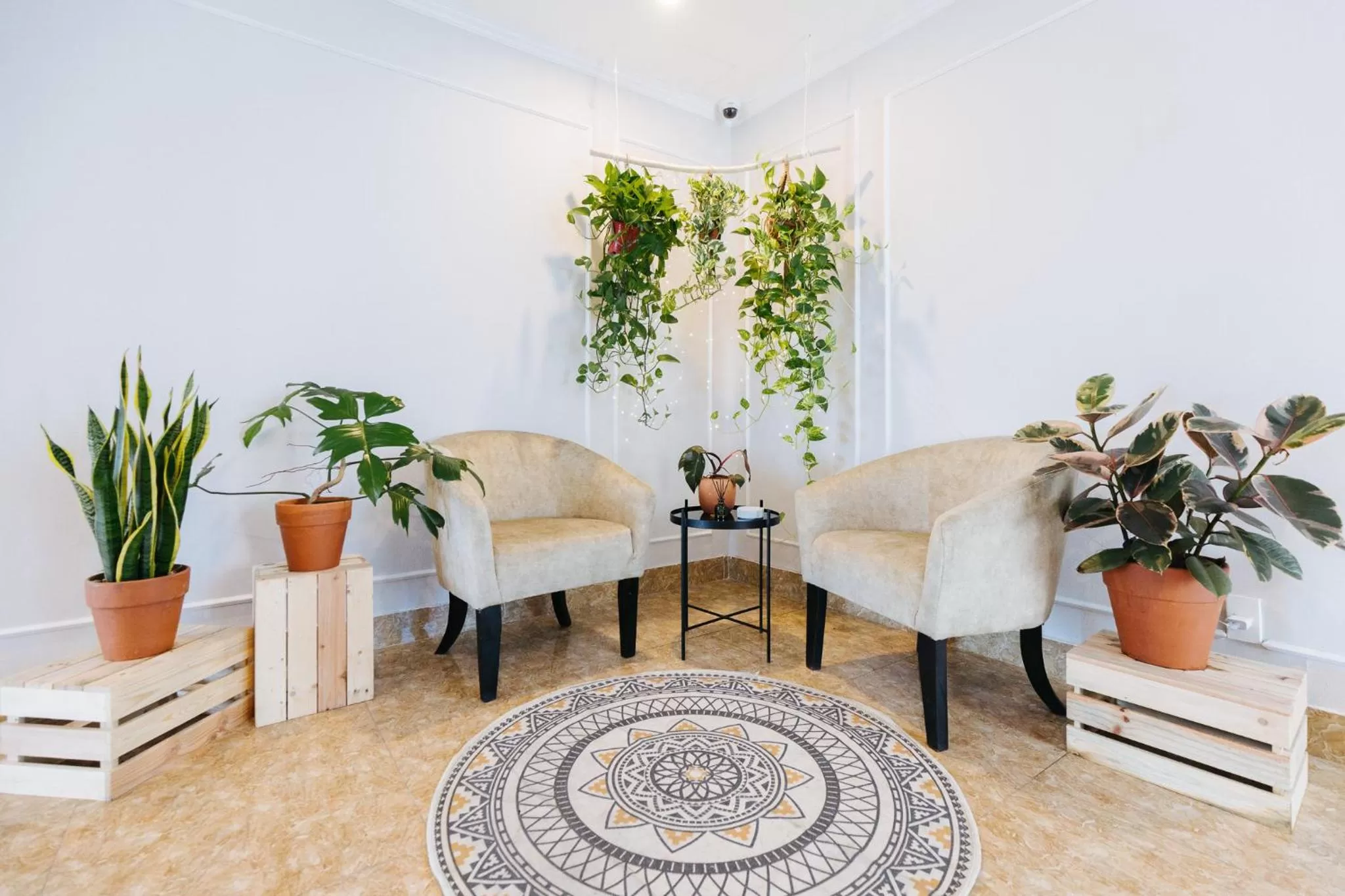 Lobby or reception, Seating Area in Ivy Hotel & Apartment