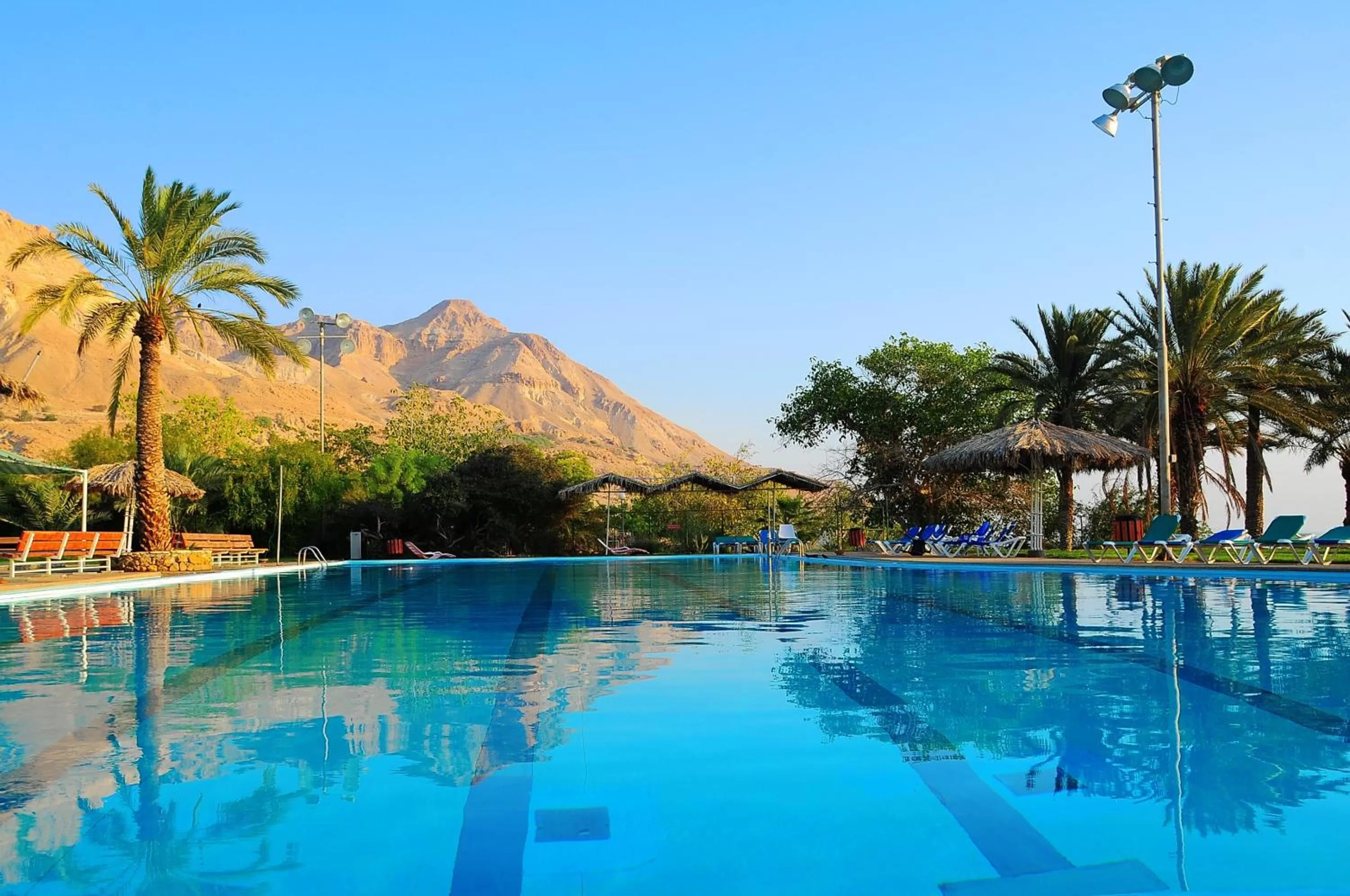 Summer in Ein Gedi Kibbutz Hotel