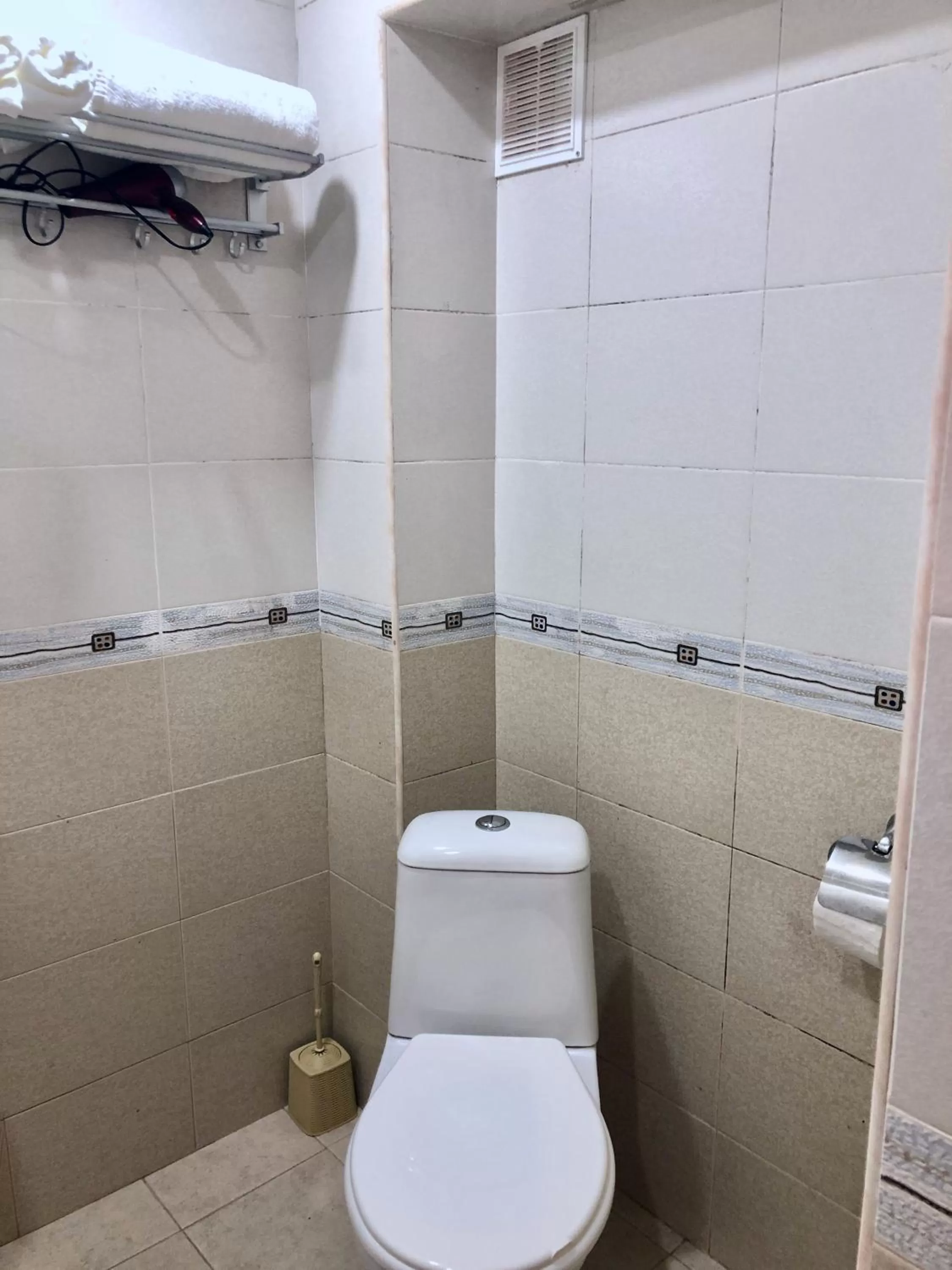 Toilet, Bathroom in Dil Hill by Sam