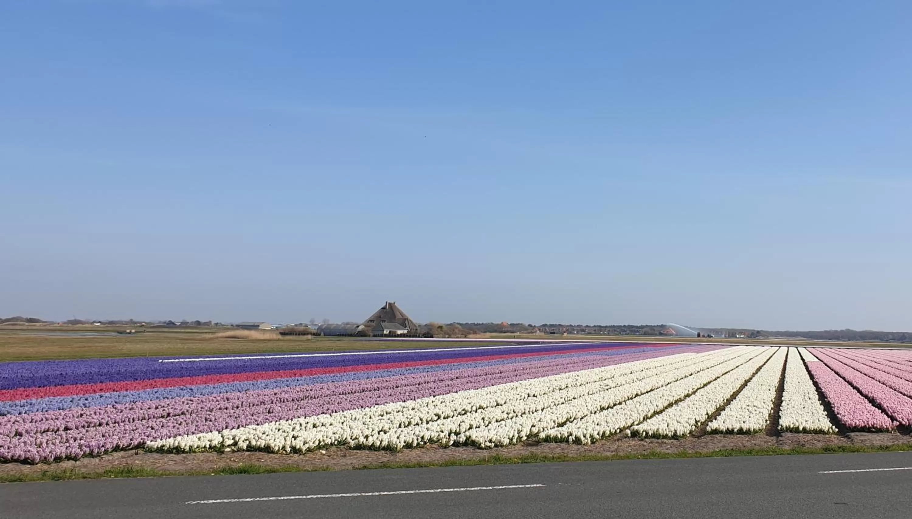 Beach in BzonderB Callantsoog