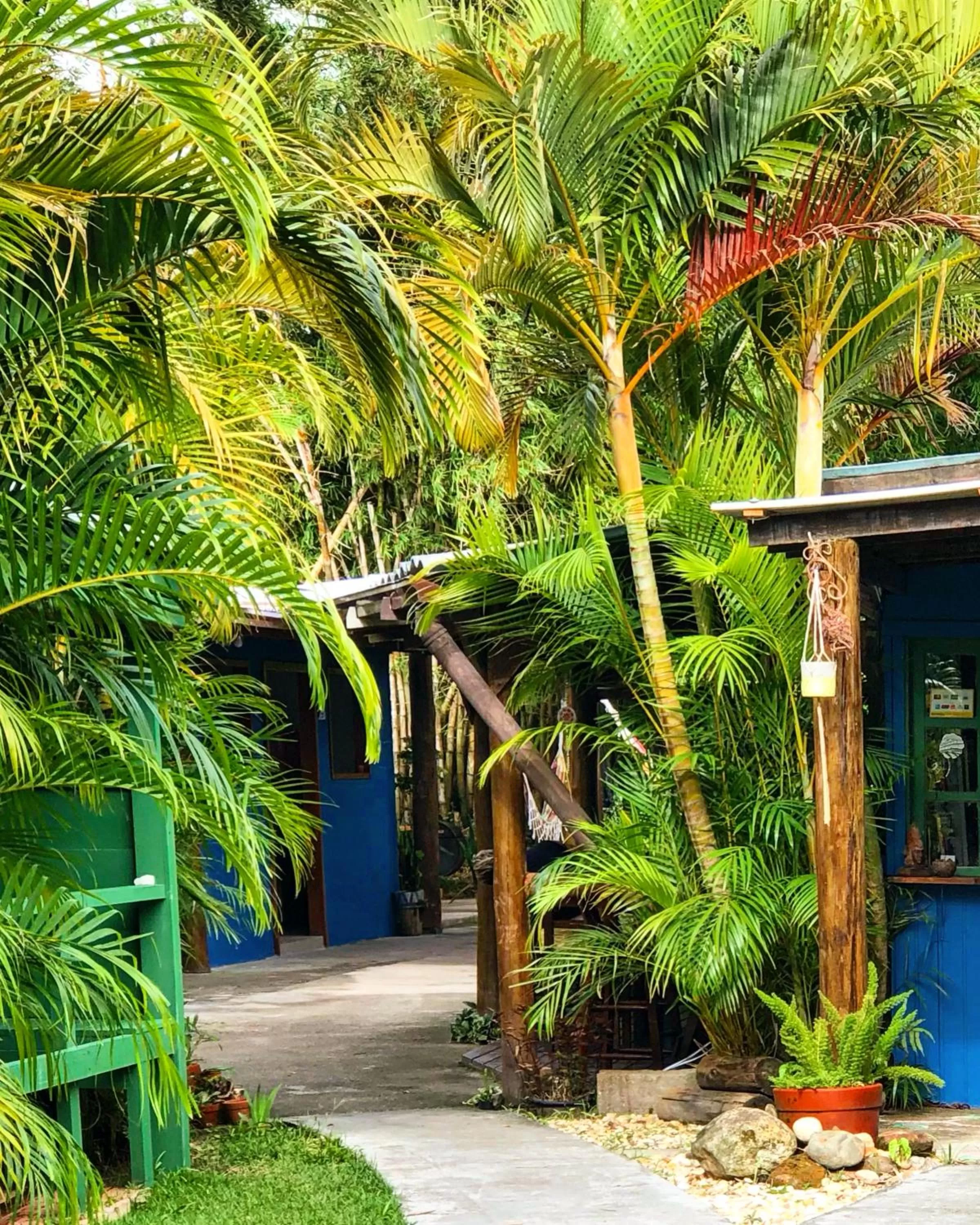 Natural landscape in Mandala Camping Pousada