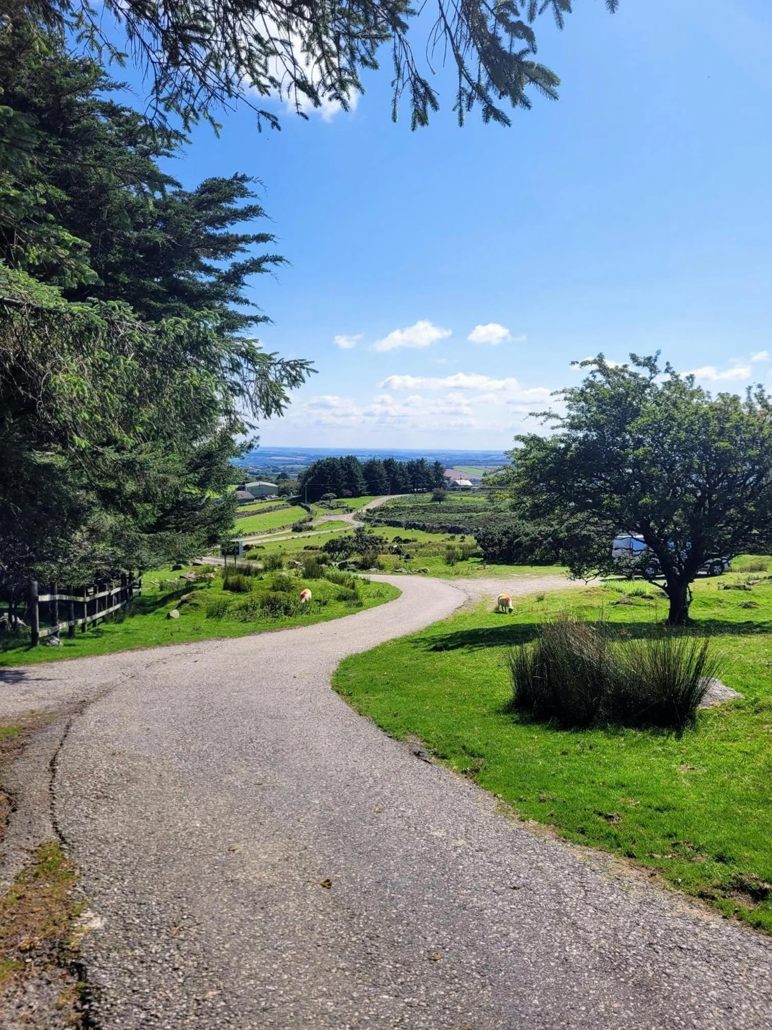 View (from property/room) in Wheal Tor Hotel & Glamping