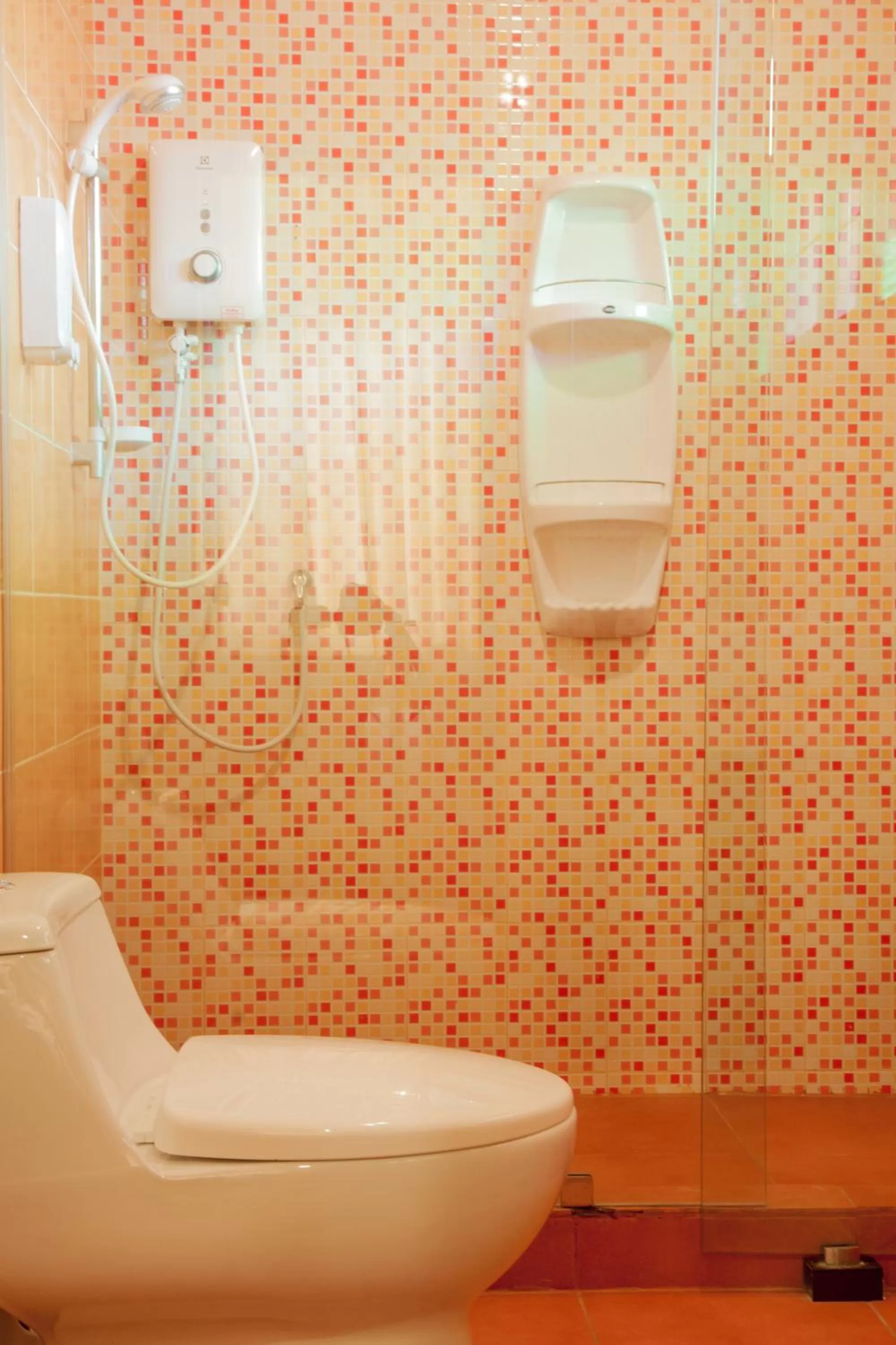 Toilet in Joy's House & Tour