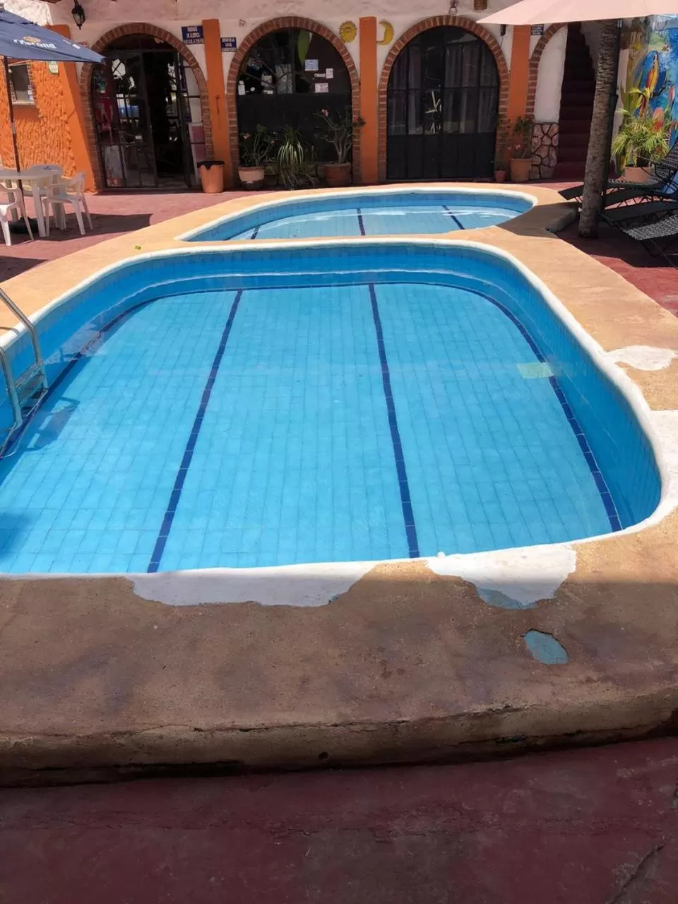 Swimming pool in Bungalows Flamingos