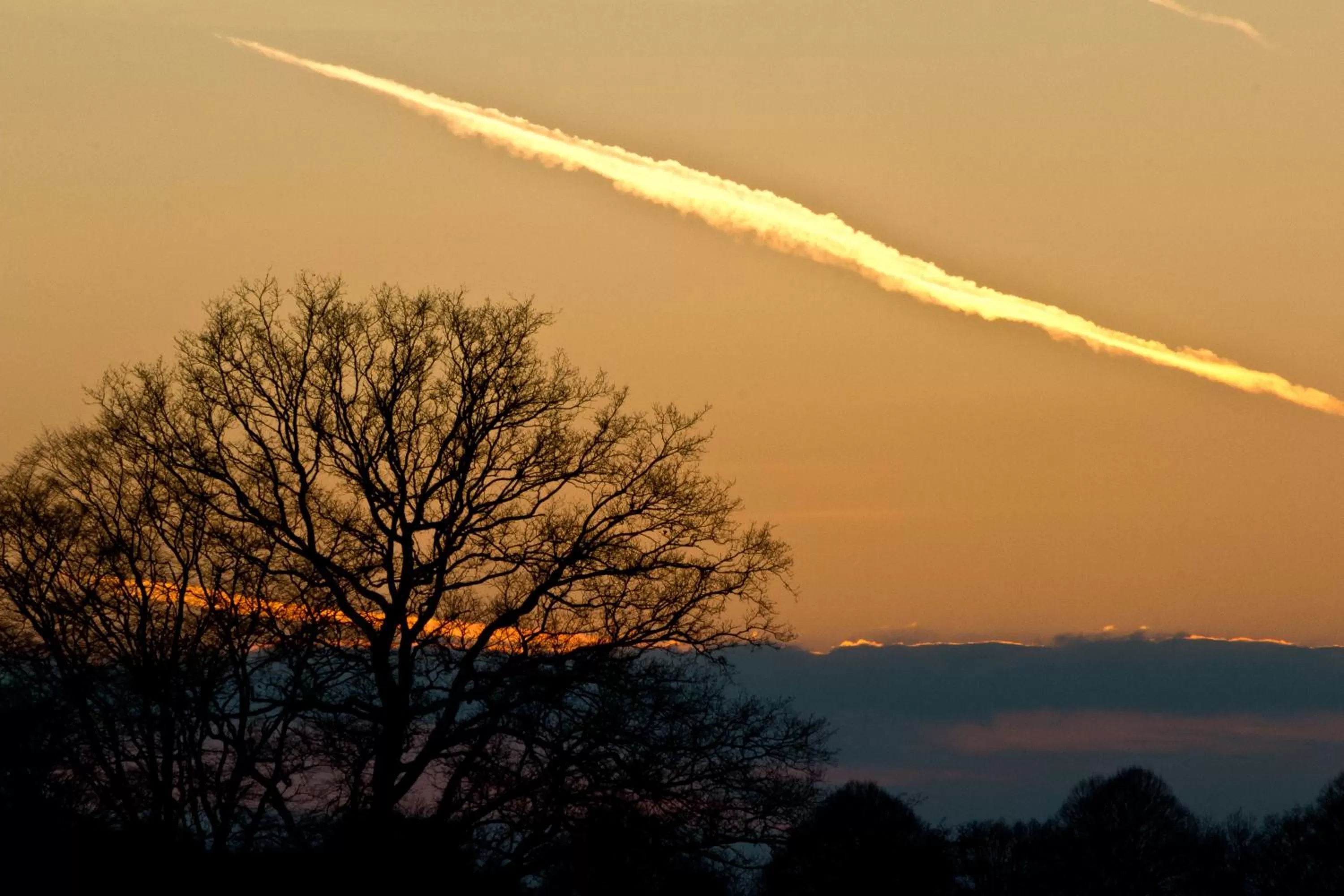 Natural landscape in Waldhotel Schipp-Hummert