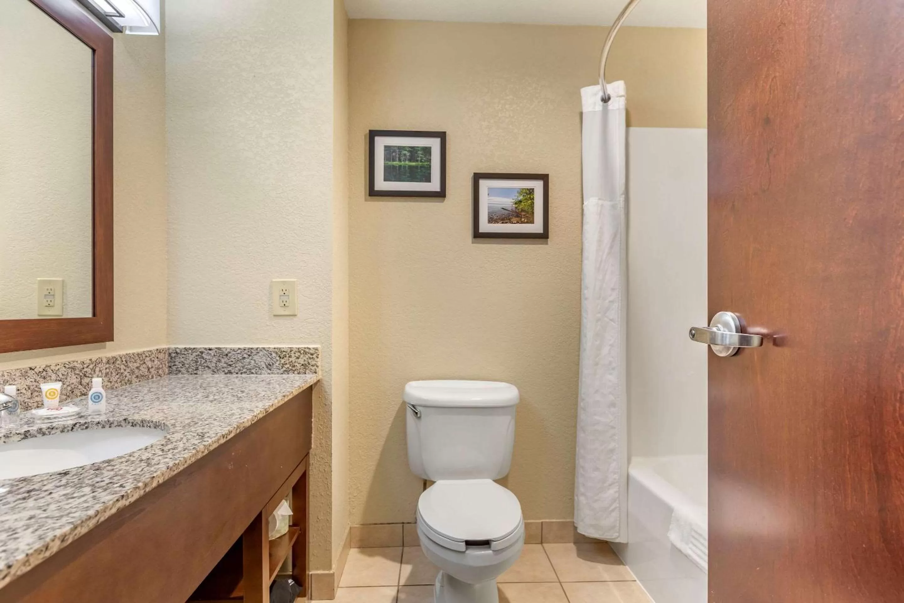 Photo of the whole room in Comfort Suites Grand Rapids North