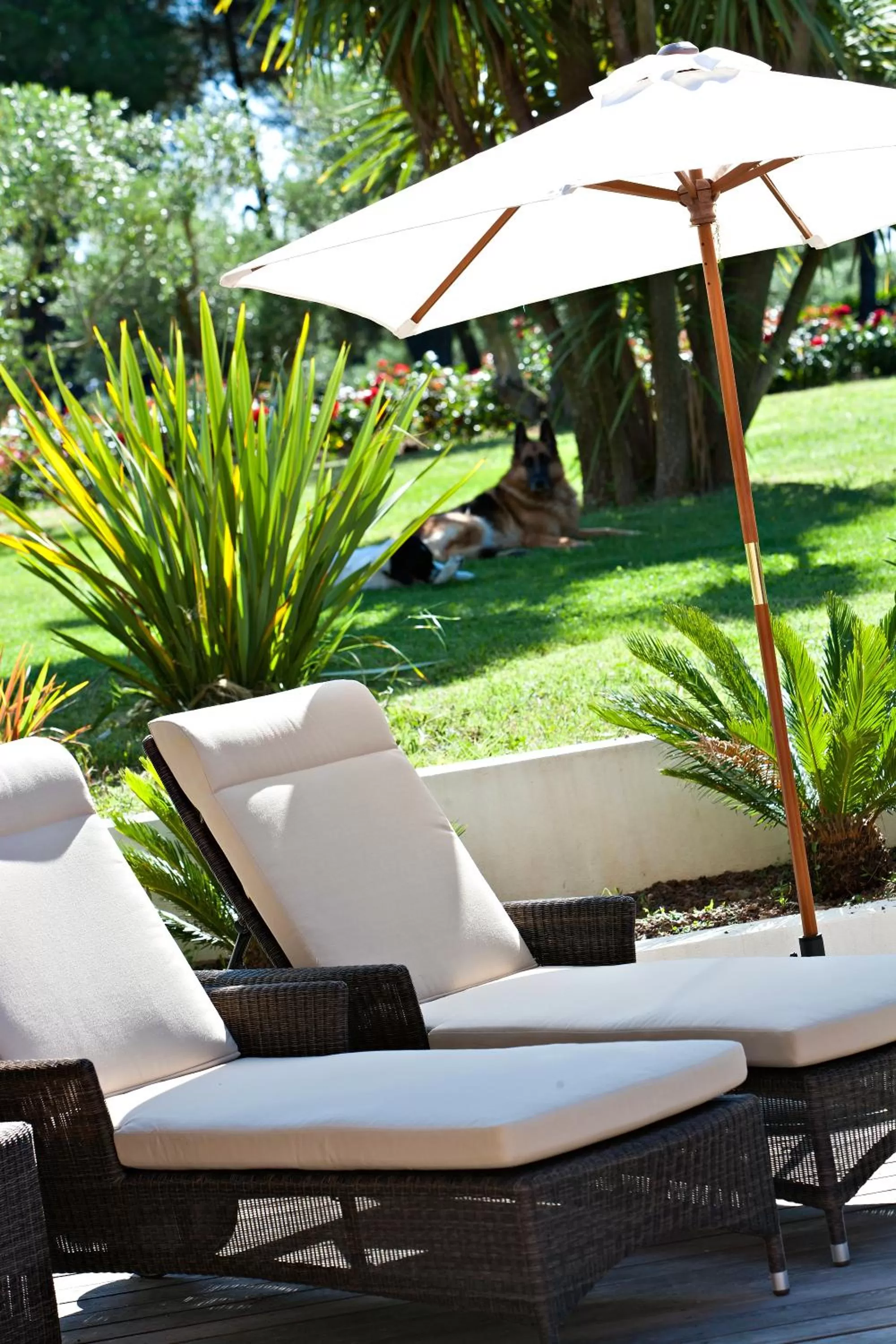 Le Mas de l'Espérance - Chambres d'hôtes de Prestige