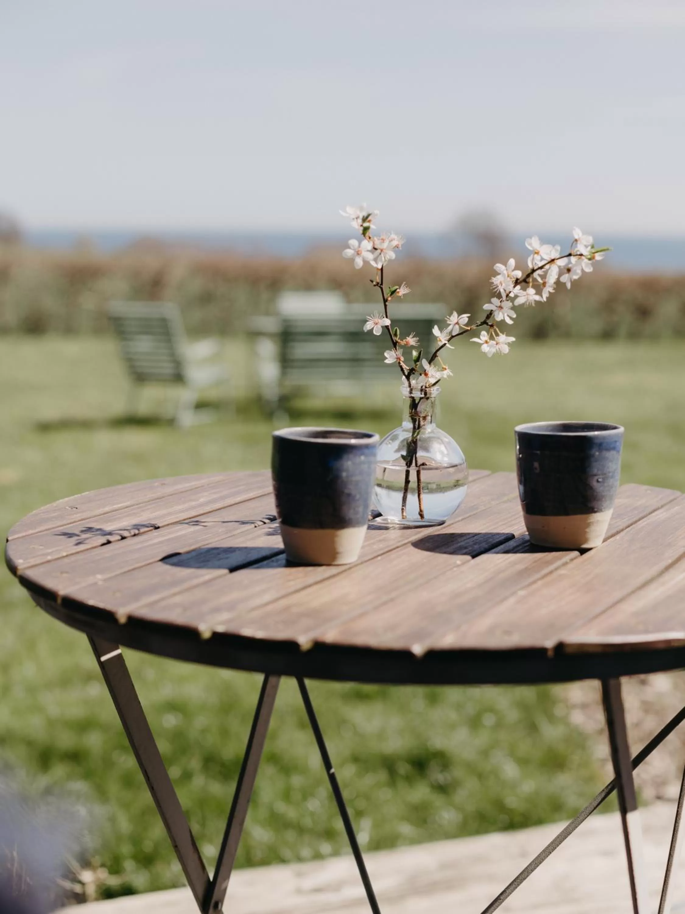 Patio in Sköllengården