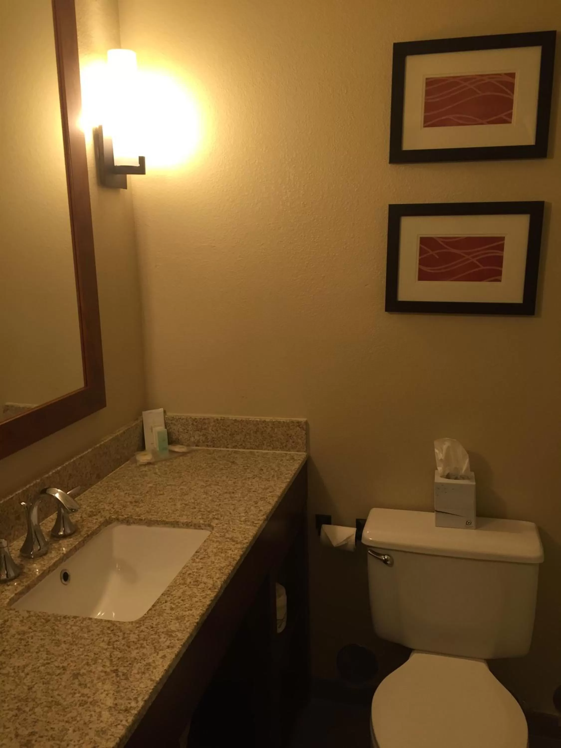 Bathroom in Comfort Inn
