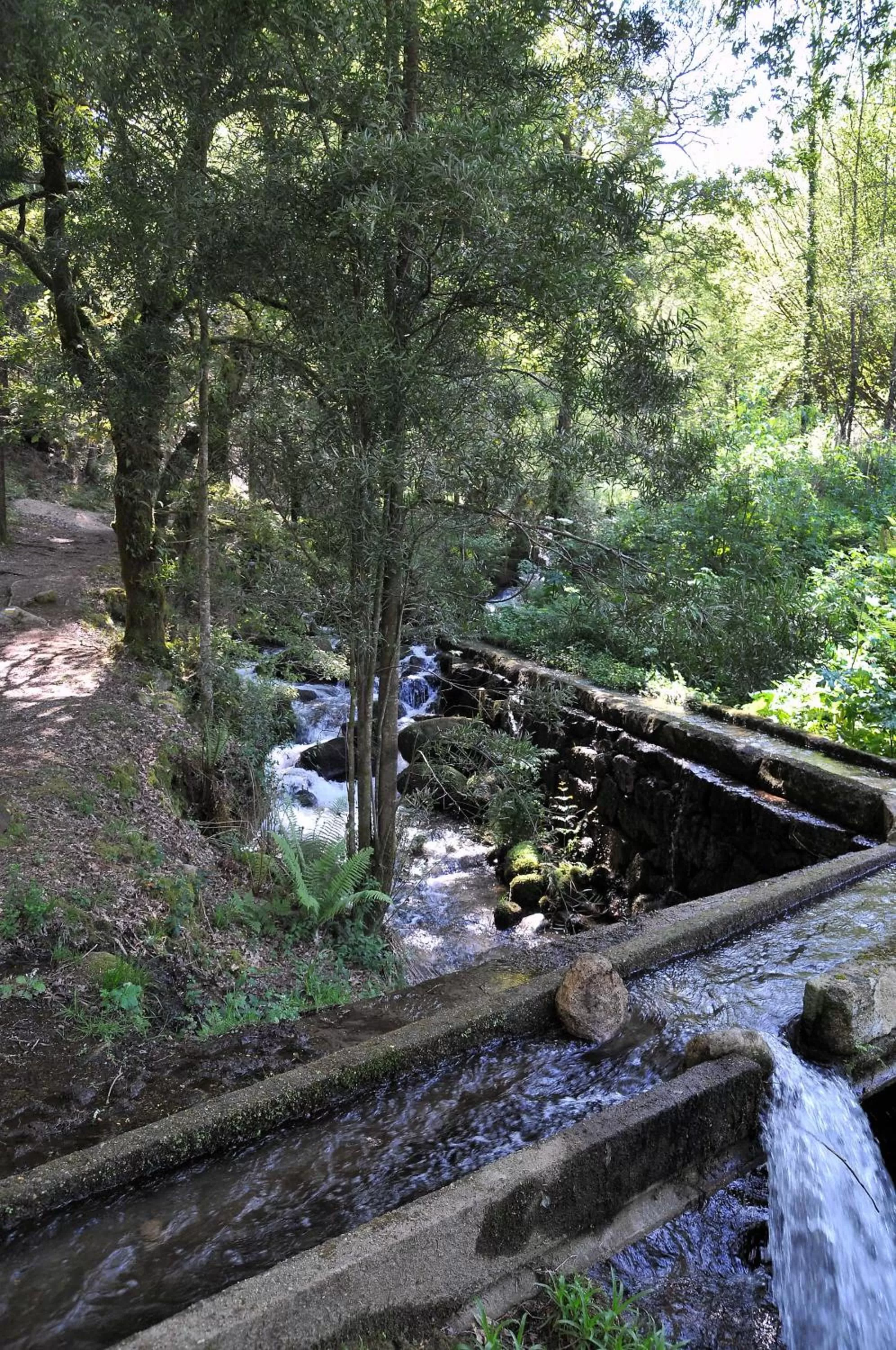Nearby landmark in Parador de Cambados