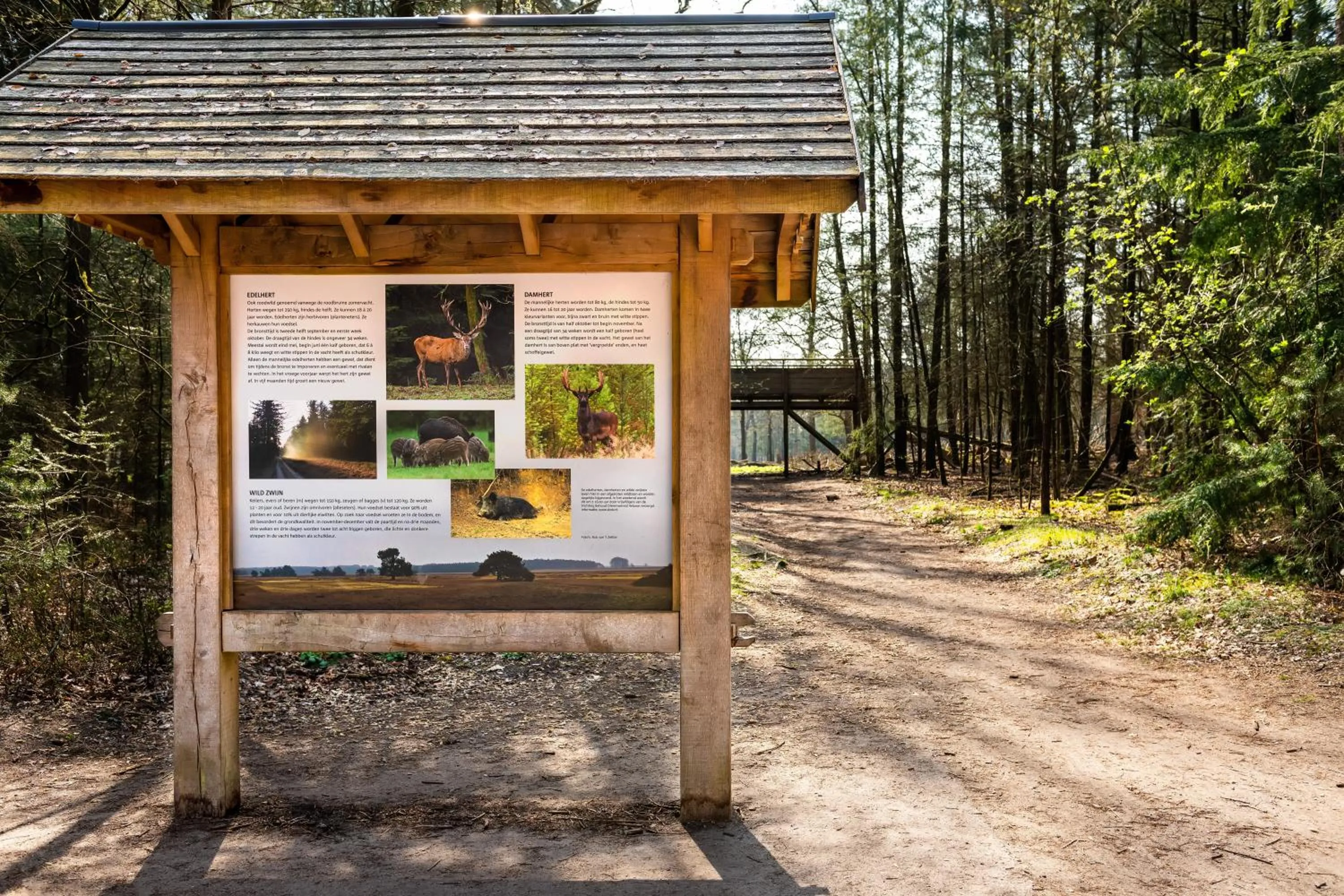 Area and facilities in Stayokay Hostel Apeldoorn