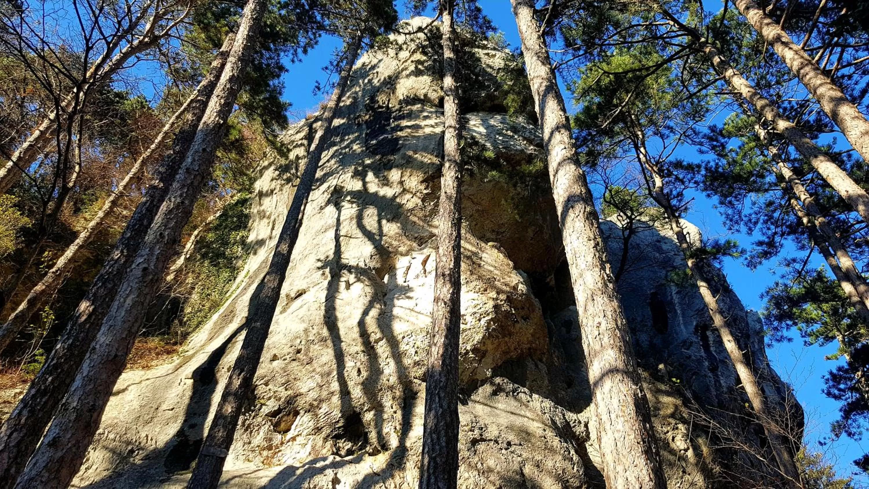 Nearby landmark in Theodosius Forest Village - Glamping in Vipava valley