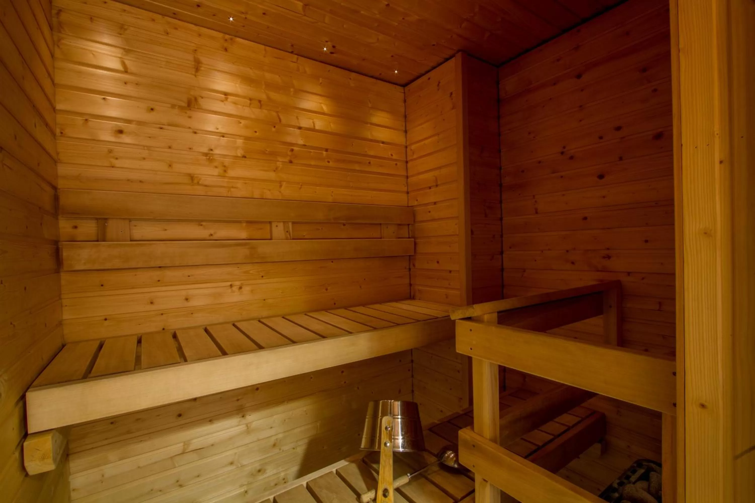 Sauna in Economy Hotel Savonia