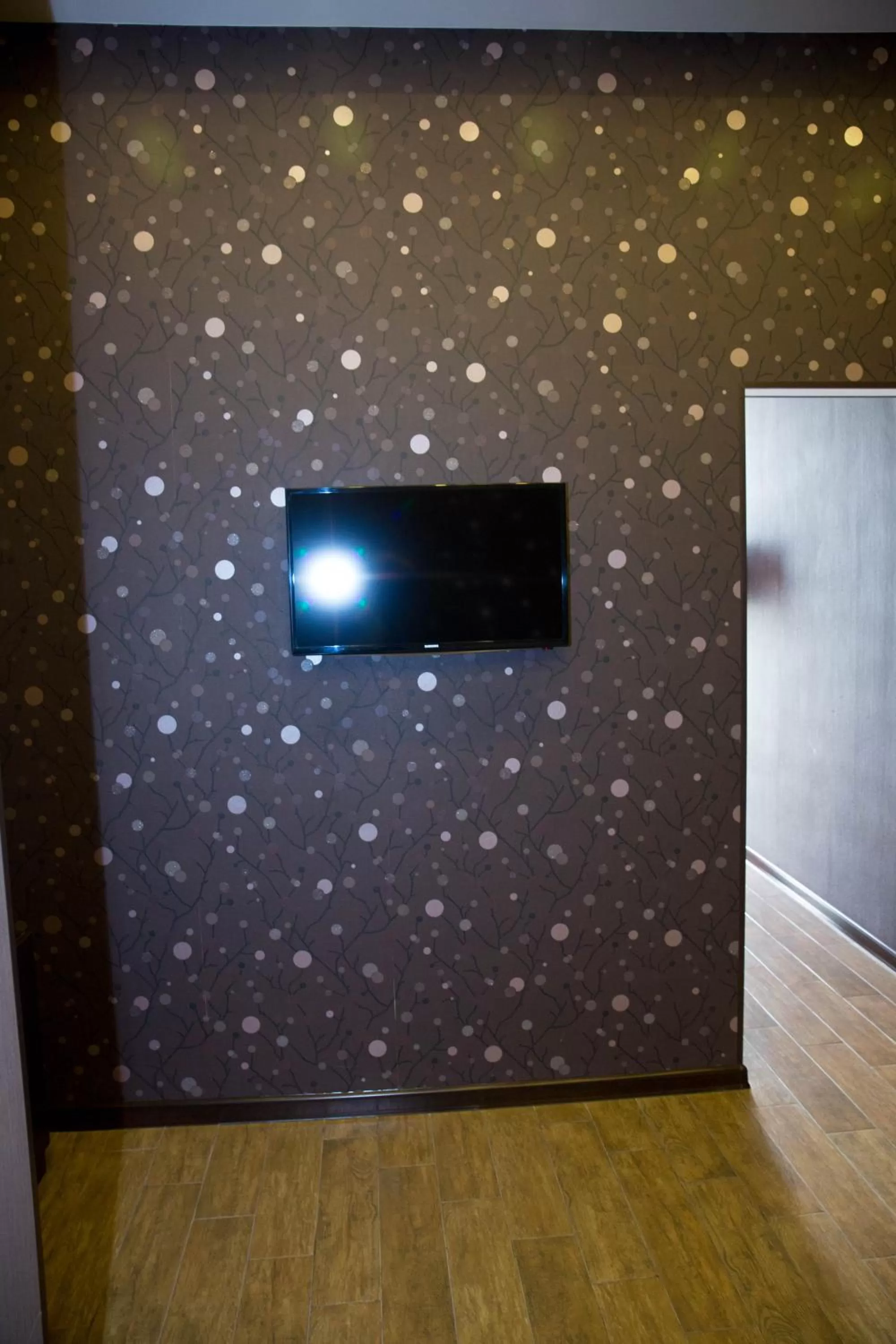 Decorative detail, TV/Entertainment Center in Eridana Hotel