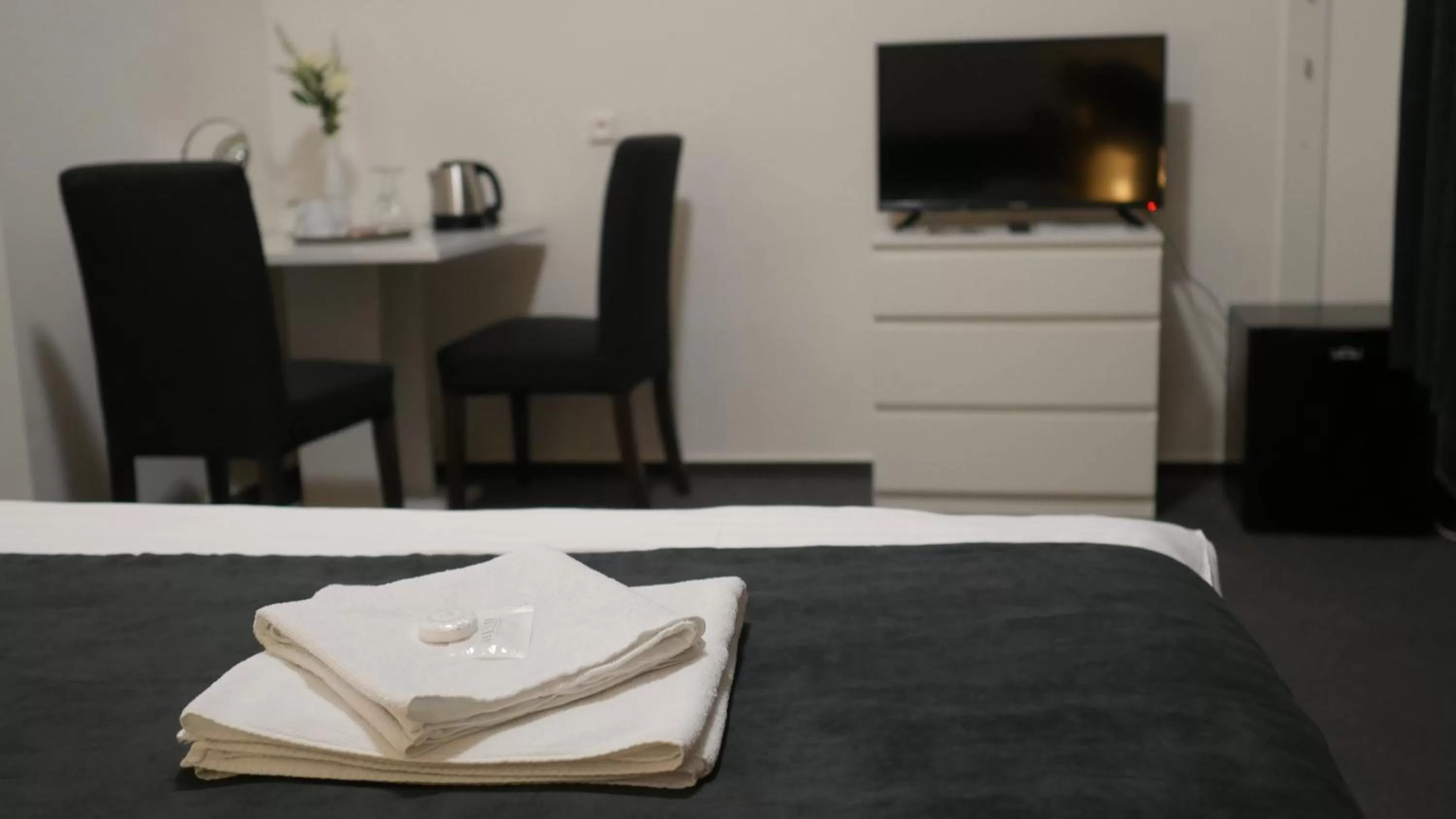 TV/Entertainment Center in Hotel Bílý Koníček