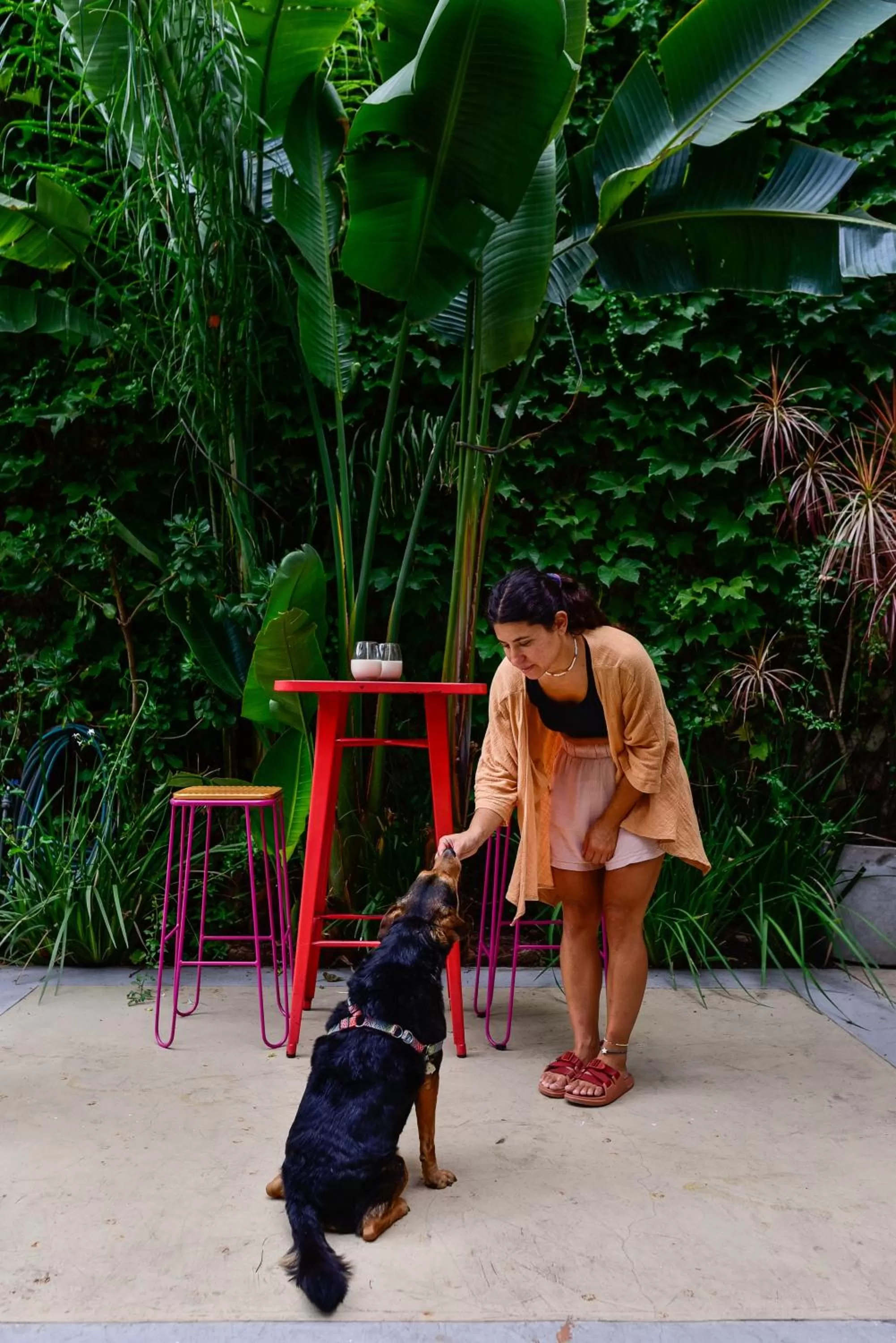 Garden in Casa Caravan - Plant Based Concept House