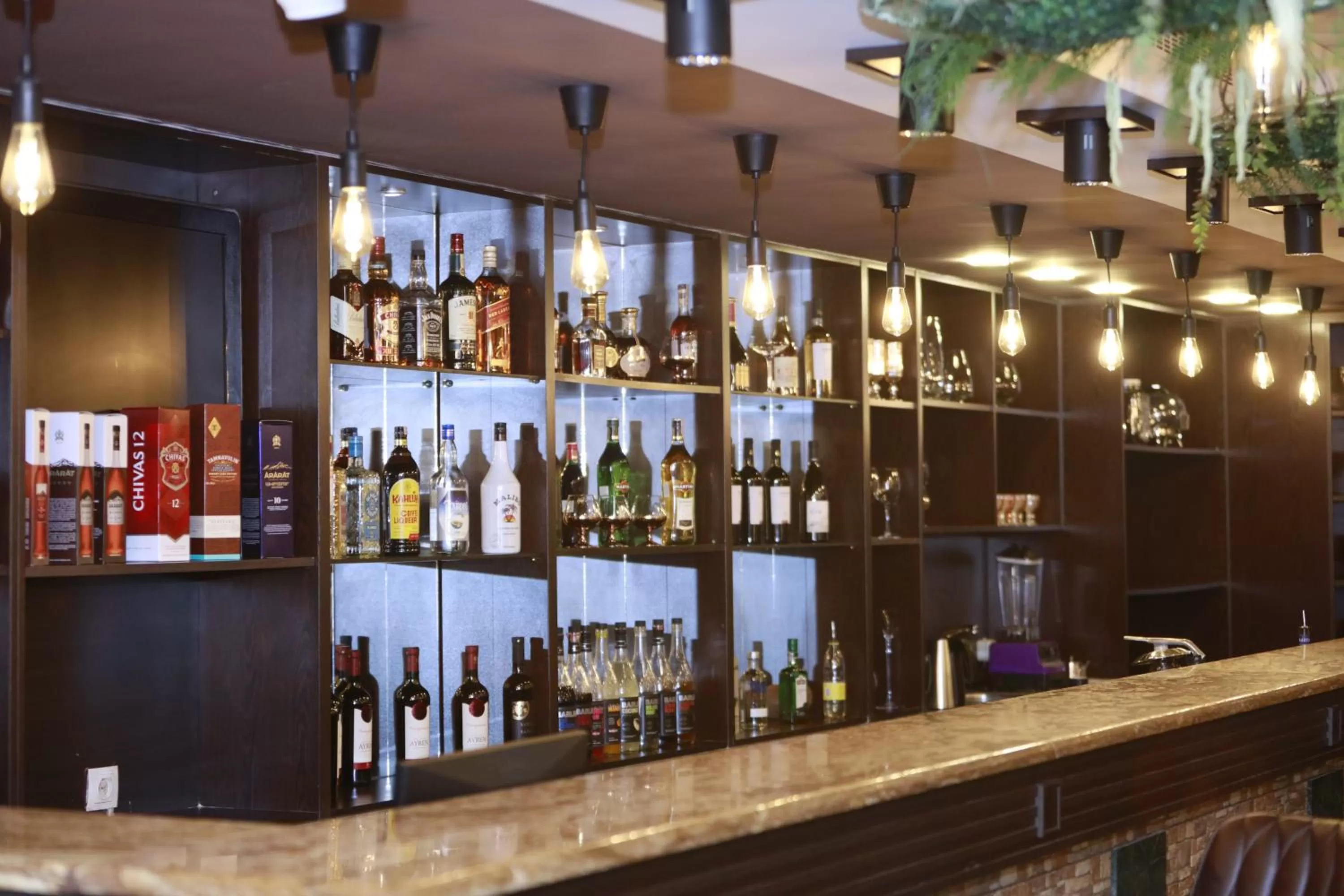 Lounge or bar, Lounge/Bar in DeLin Hotel And Tours