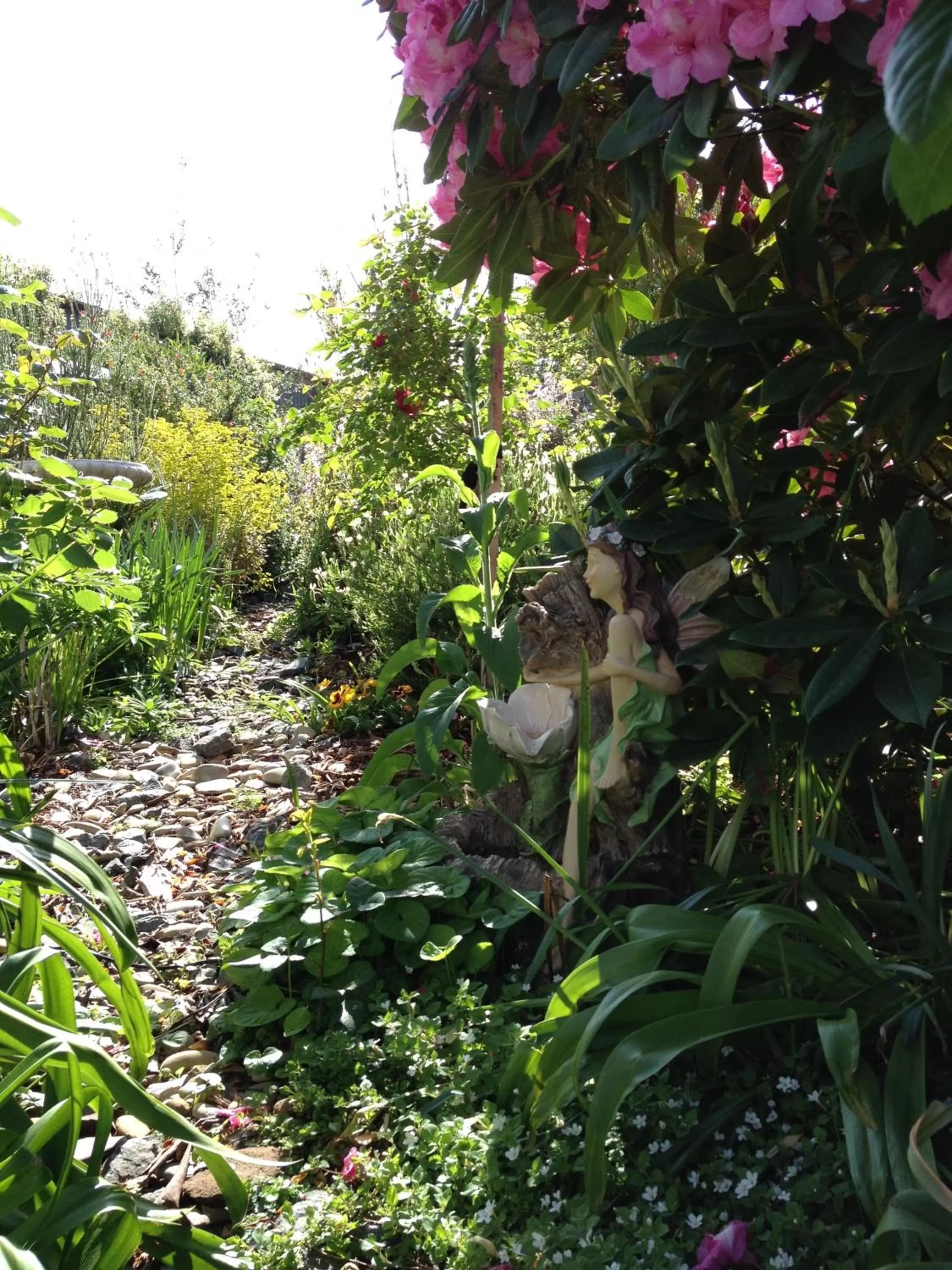 Spring in Hillside Bed and Breakfast