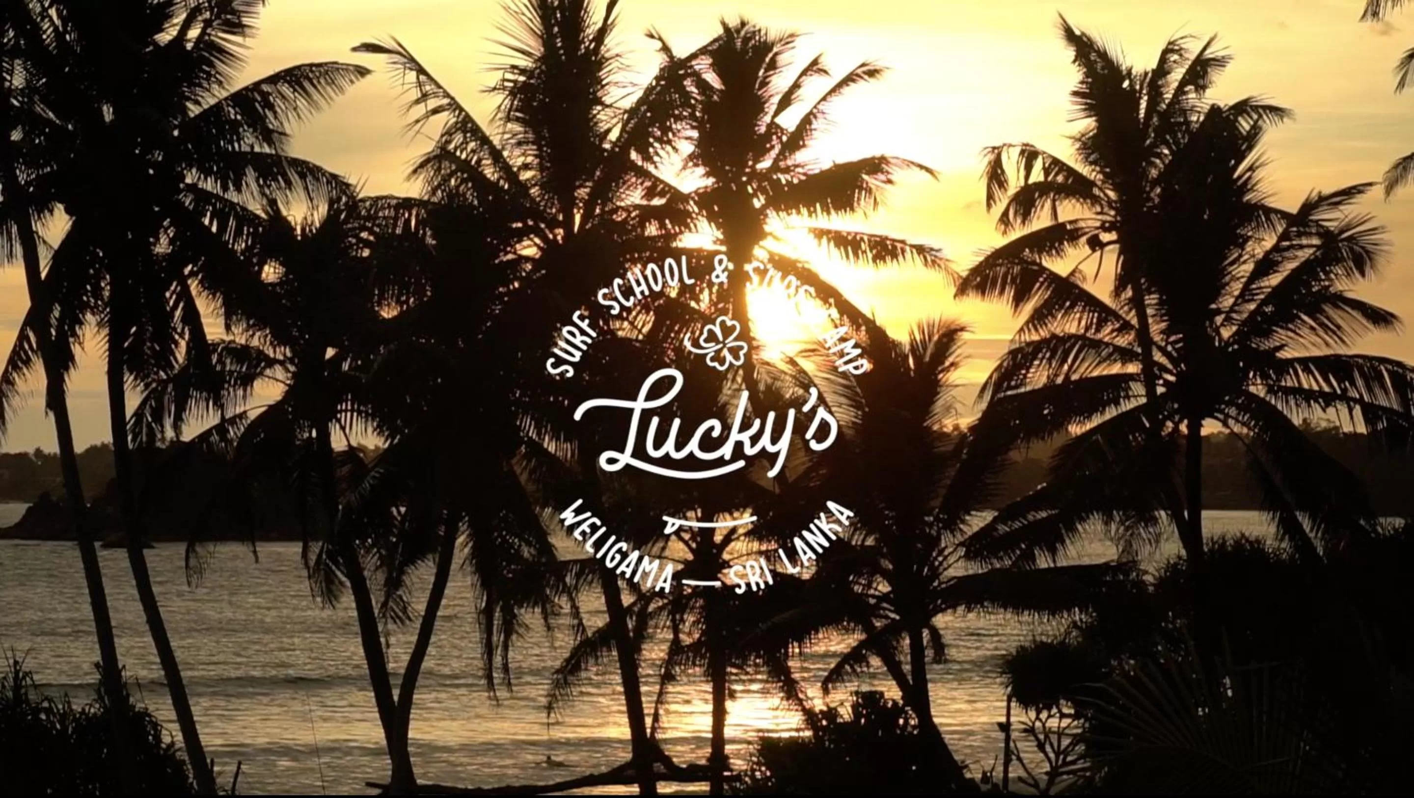 View (from property/room) in Lucky's Surf Camp