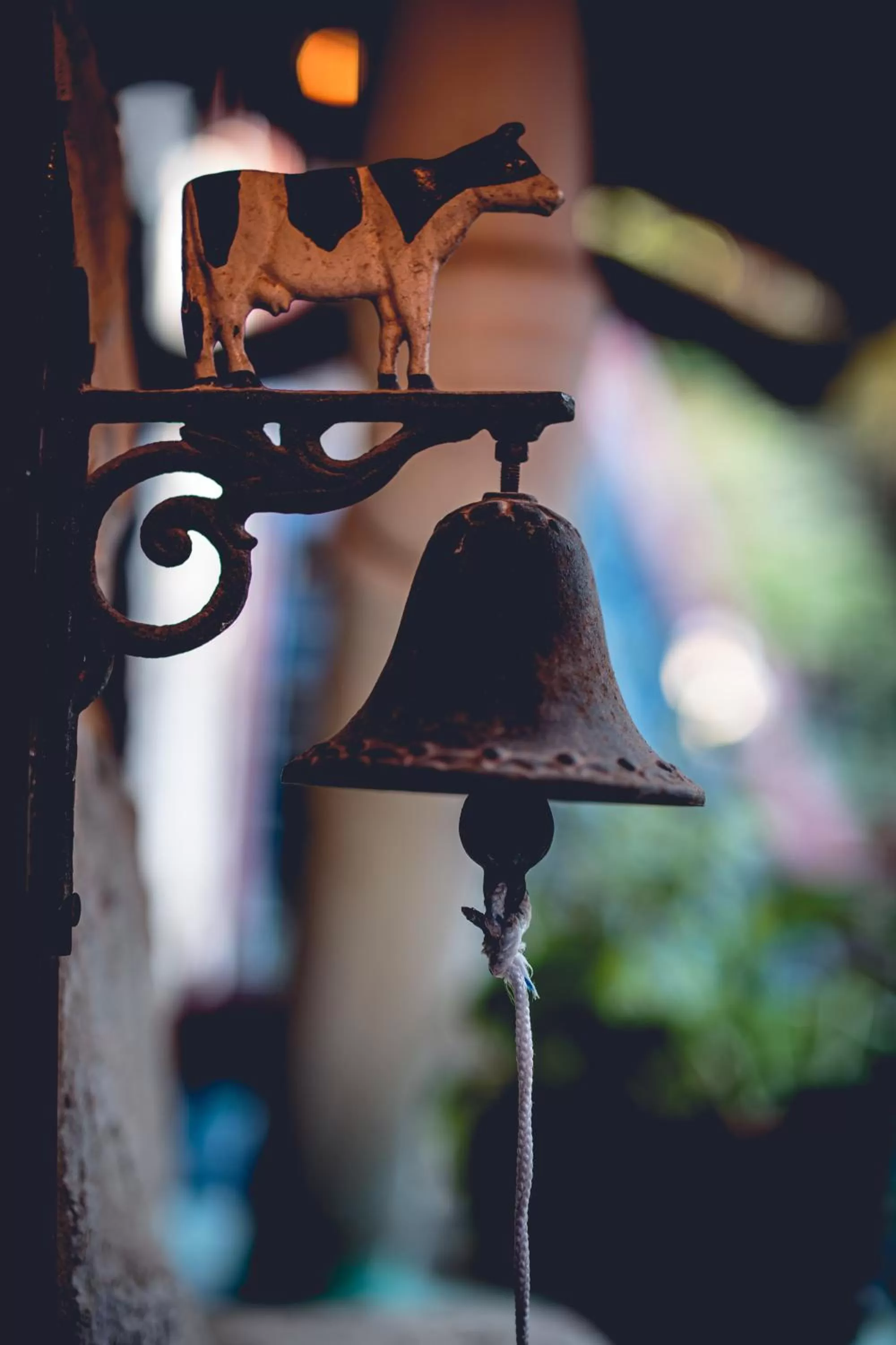 Property building in וילה תהילה המחודש - The new Villa Tehila