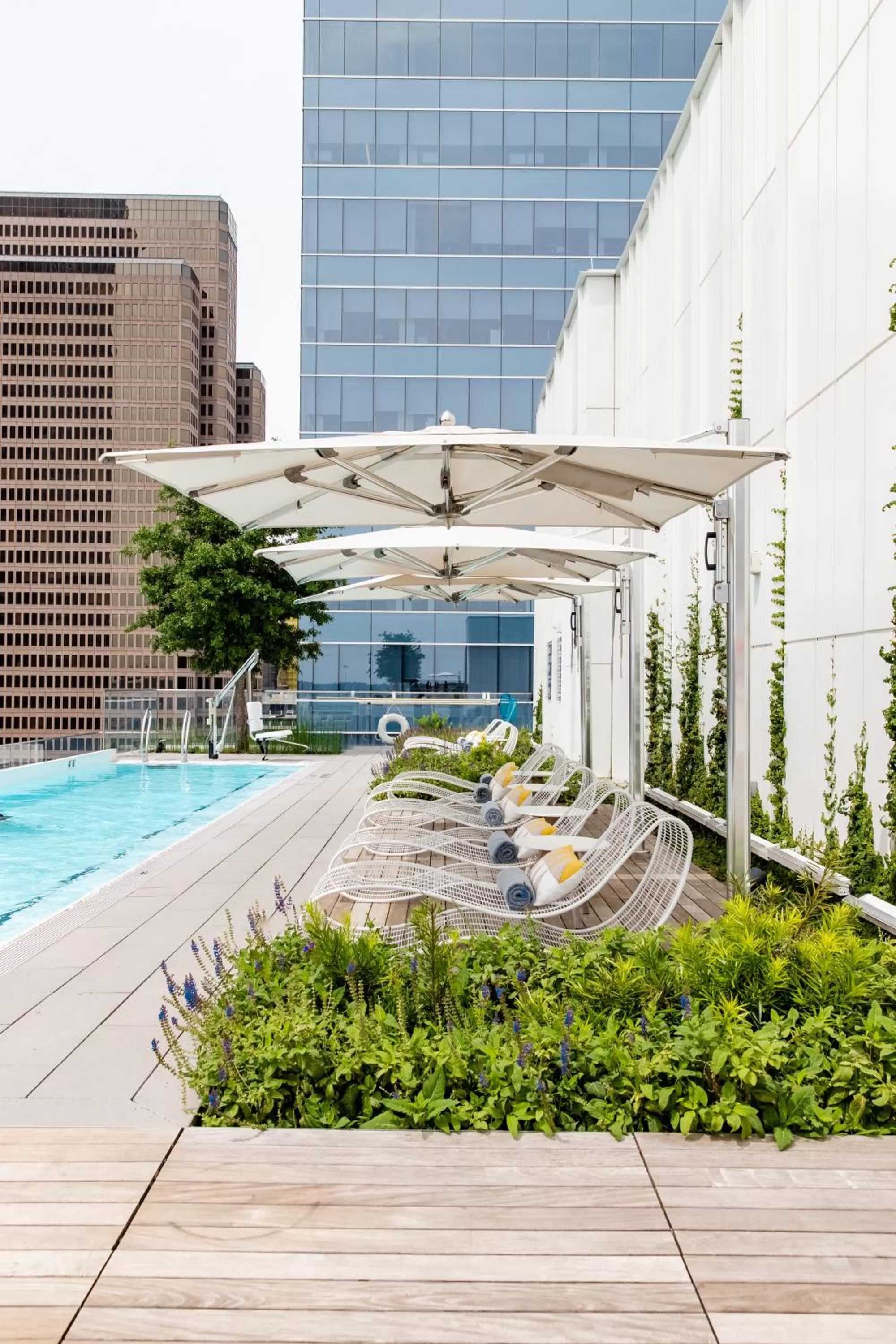 Swimming pool in HALL Arts Hotel Dallas, Curio Collection by Hilton