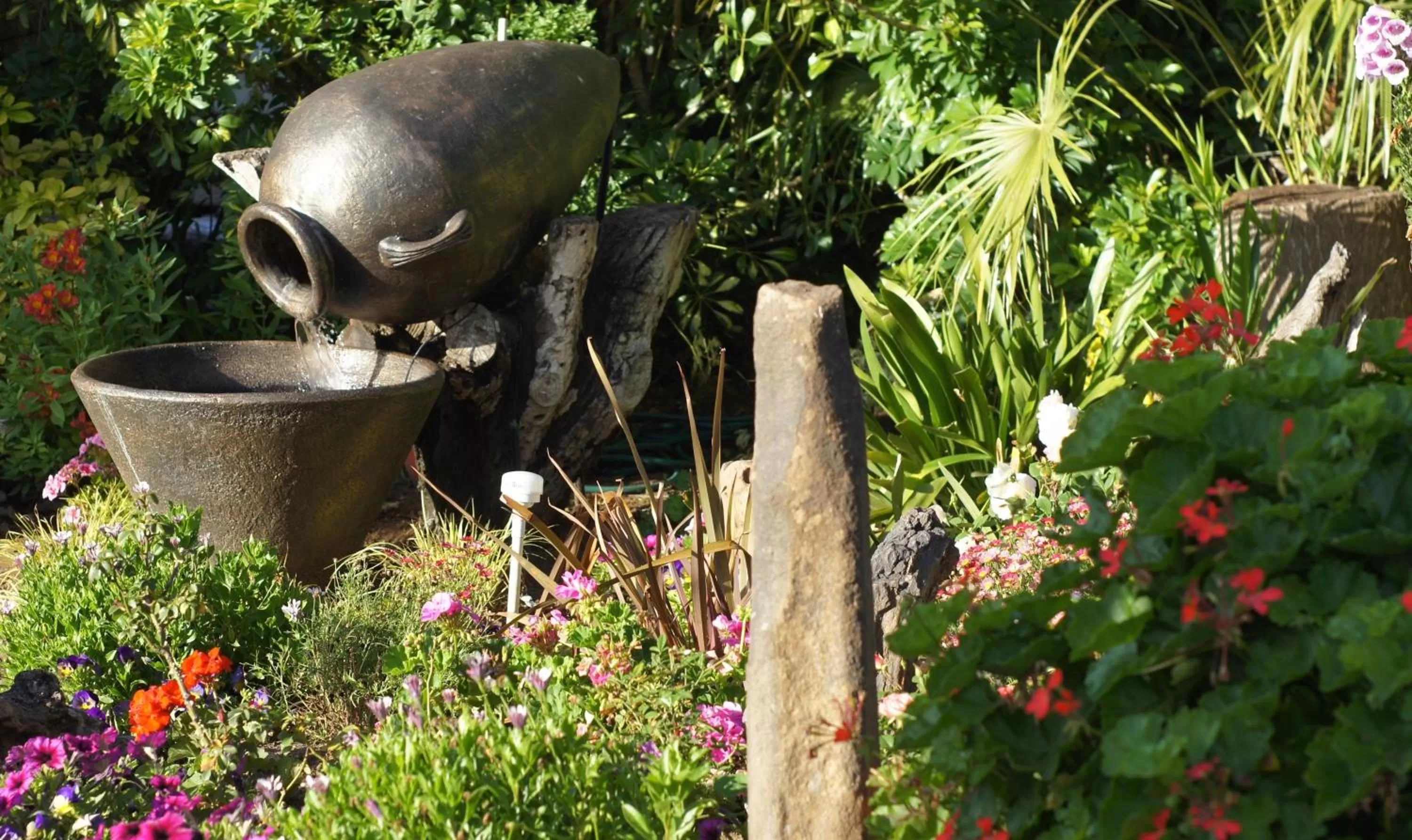 Garden, Other Animals in Beau & I