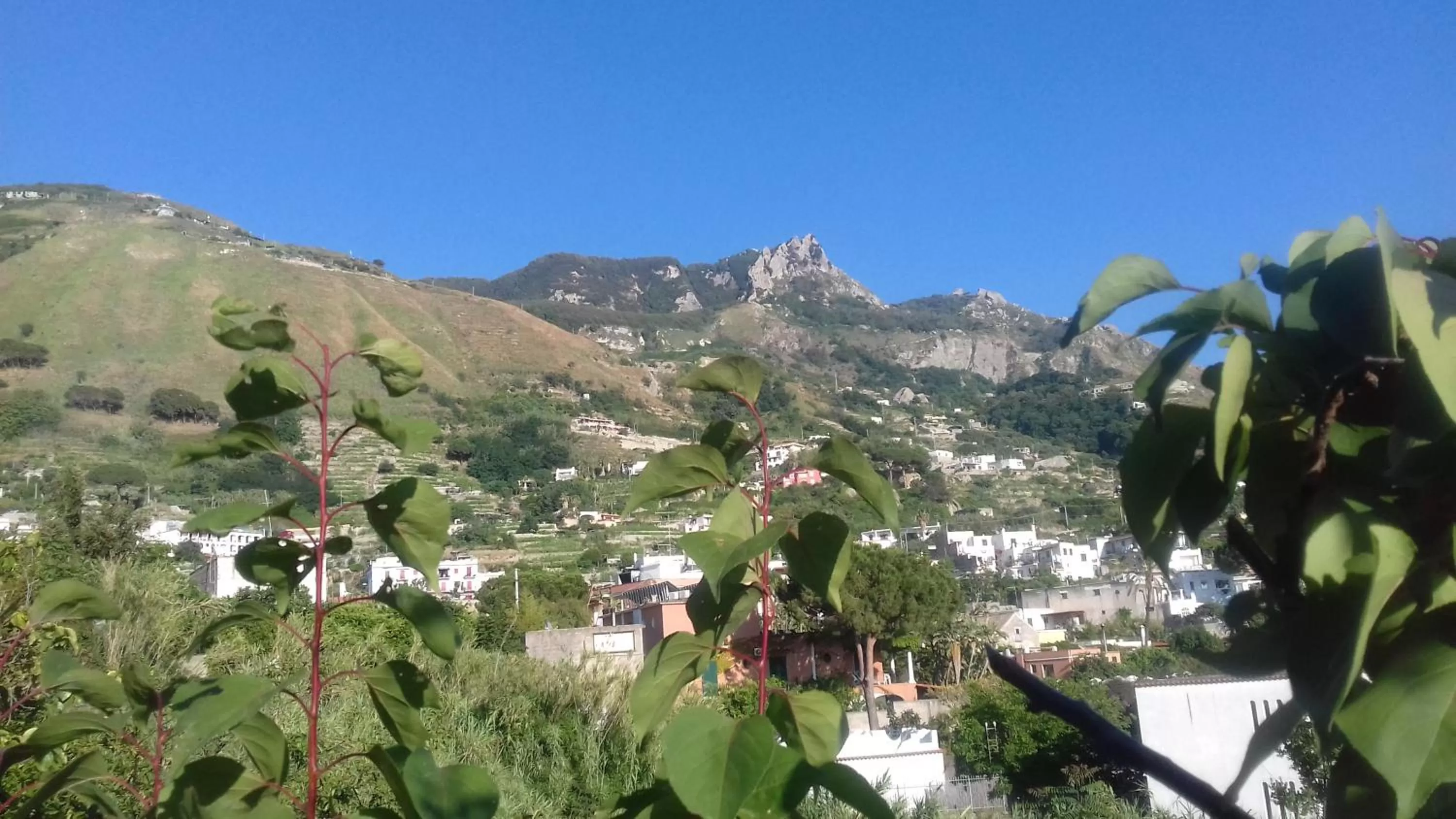 Entertainment in Villa Thomas BB conduzione familiare