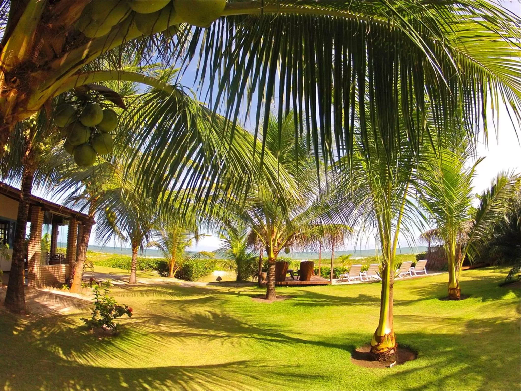 Garden view, Garden in Pousada do Sonho