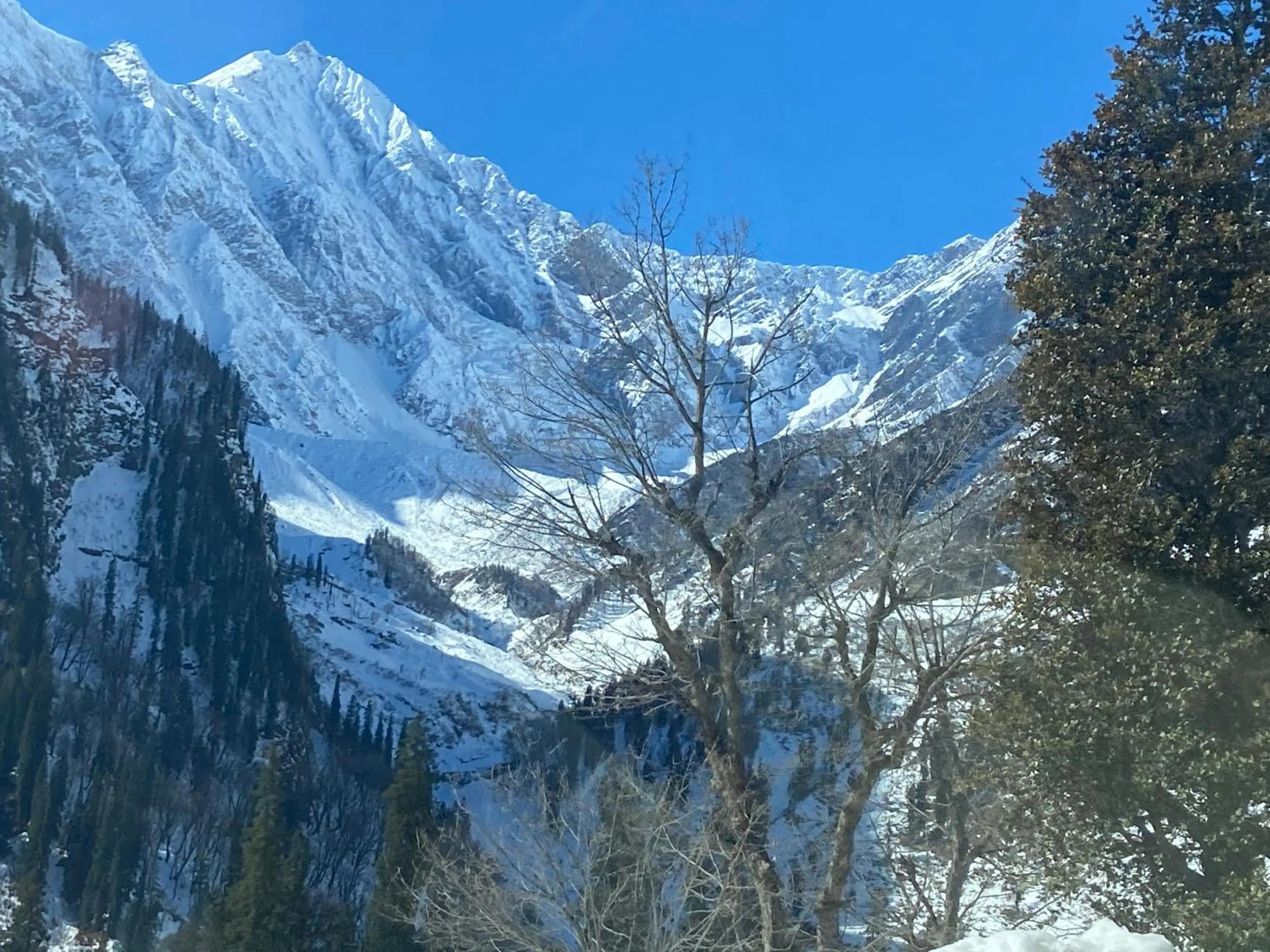 Solang Valley Resort