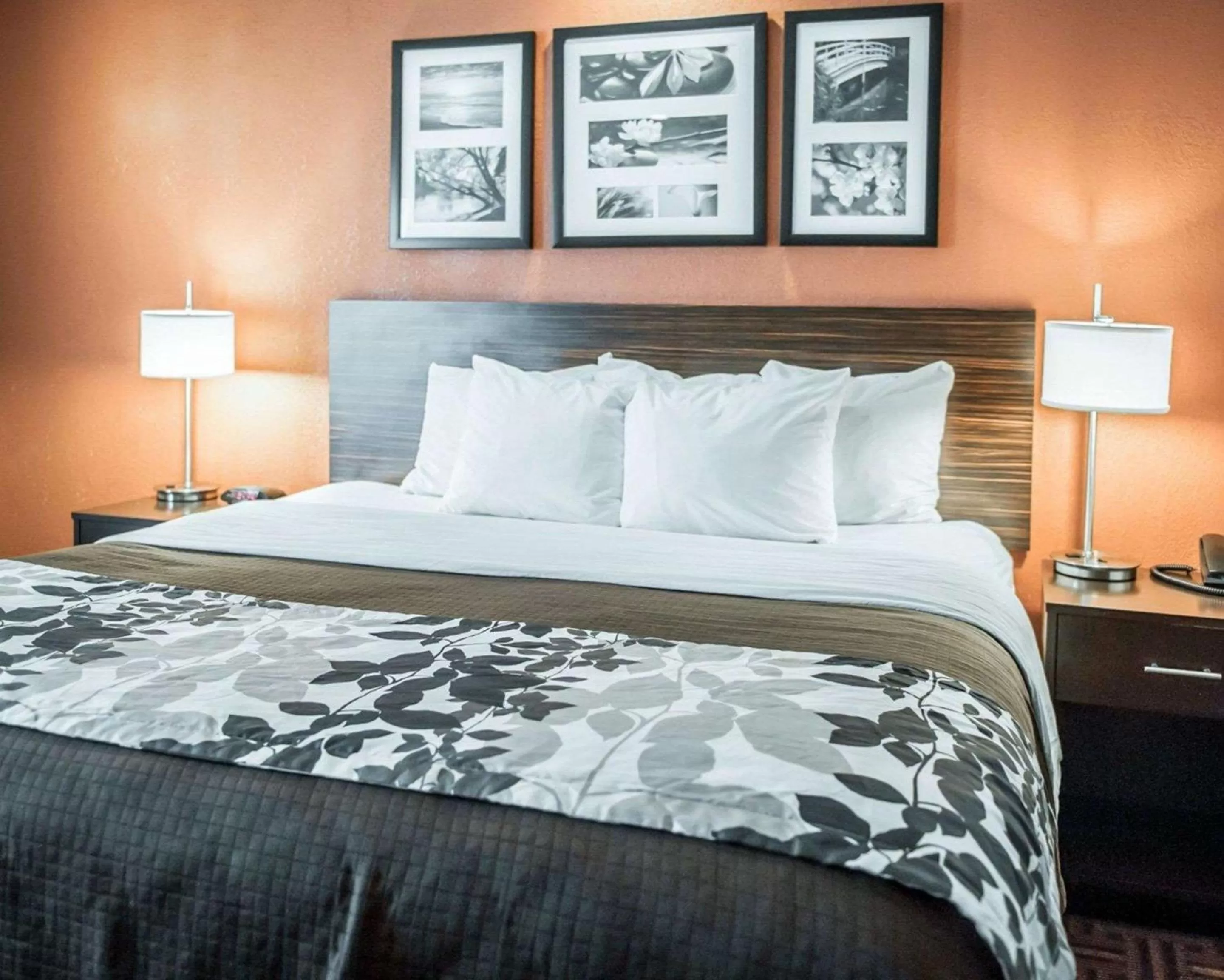 Photo of the whole room, Bed in Sleep Inn O'Fallon near I-64