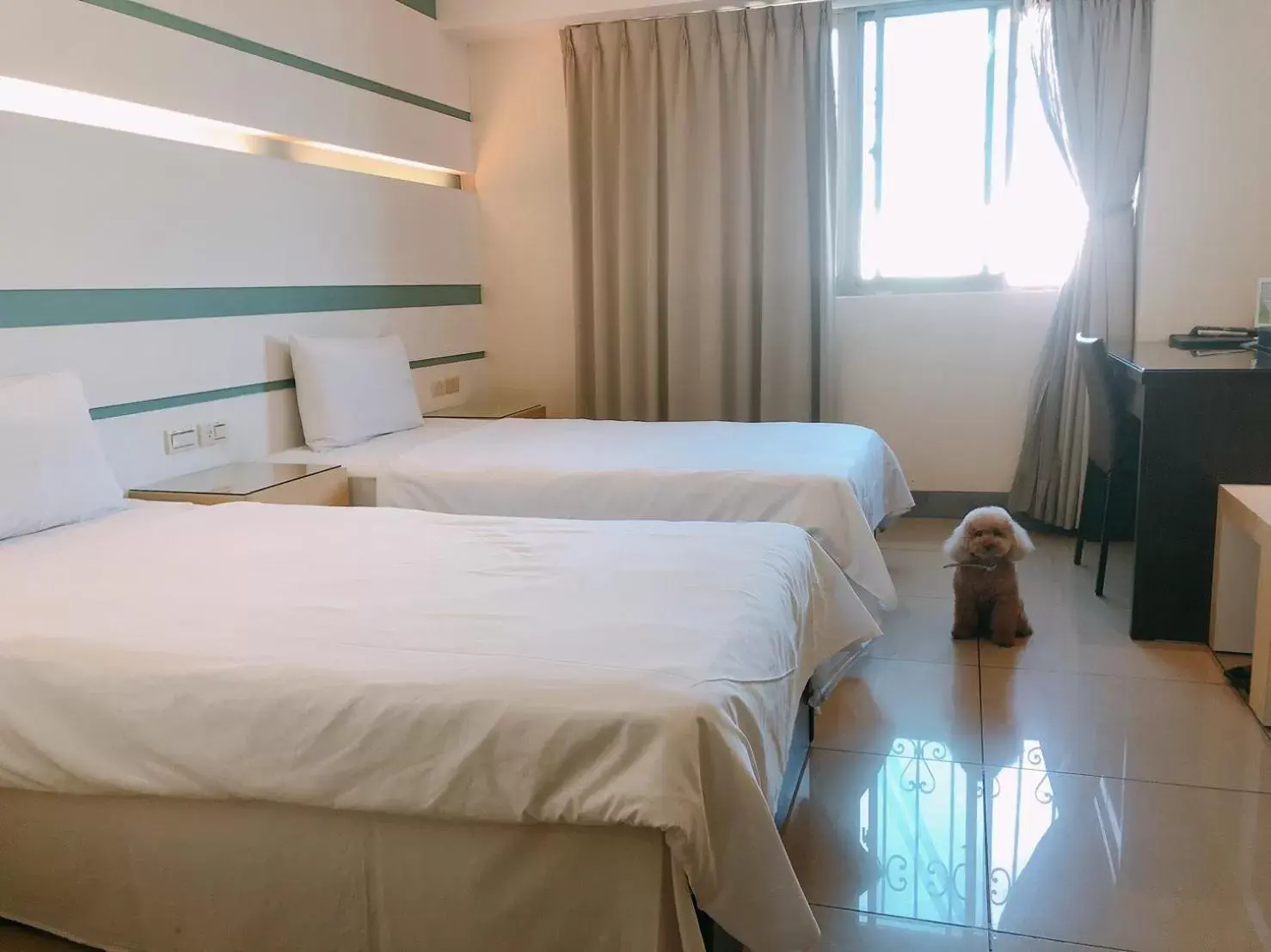 Standard Twin Room in Kiwi Express Hotel - Kaohsiung Station Standard Twin Room in Kiwi Express Hotel - Kaohsiung Station