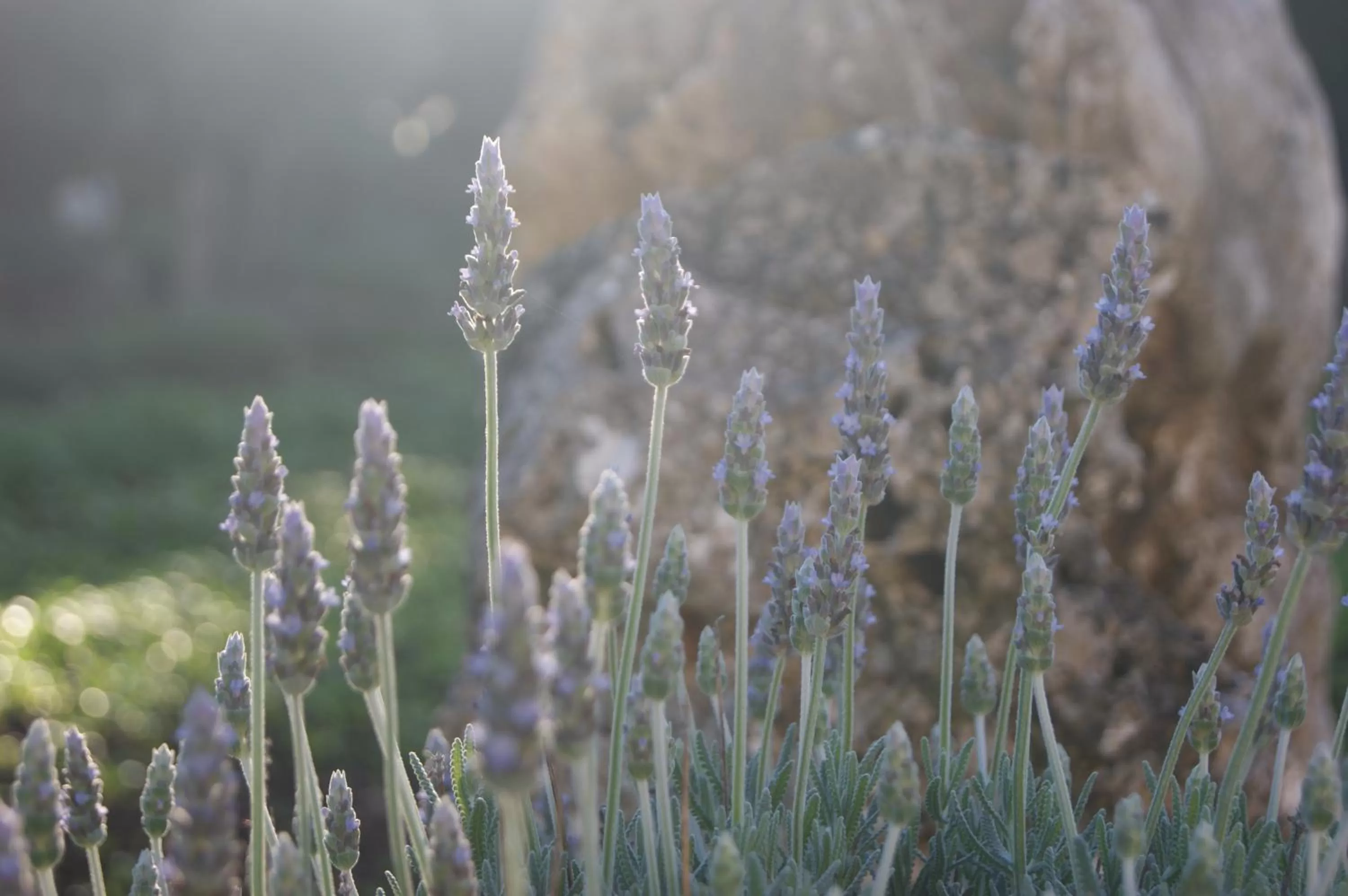 View (from property/room) in Arome B&B