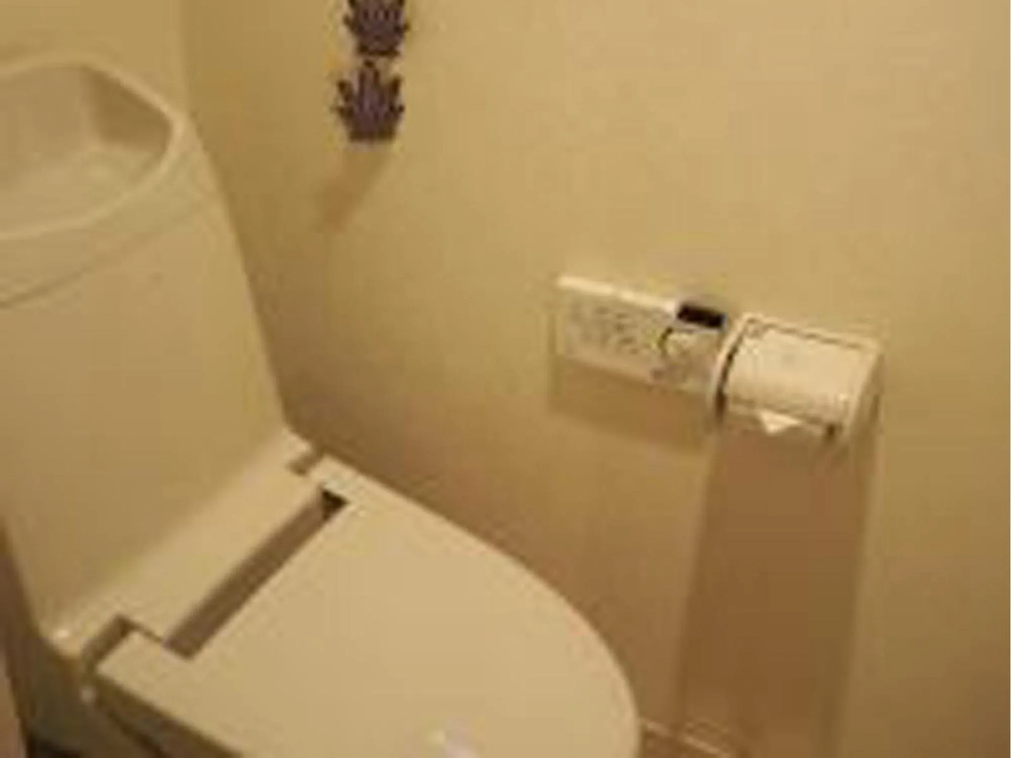 Sophiearth Apartment