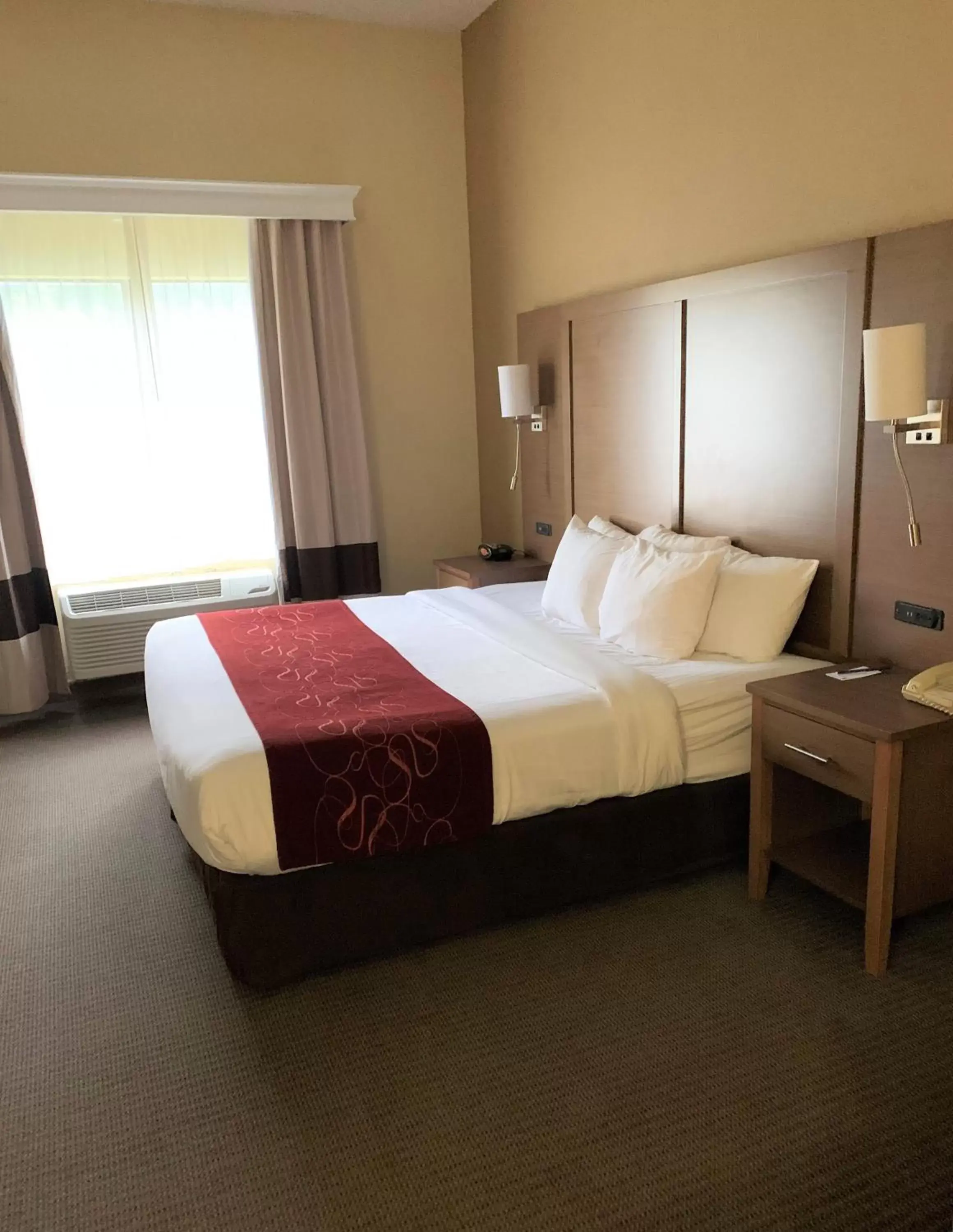 Standard King Suite - Mobility Accessible/Non-Smoking in Comfort Suites Bush Intercontinental Airport Standard King Suite - Mobility Accessible/Non-Smoking in Comfort Suites Bush Intercontinental Airport