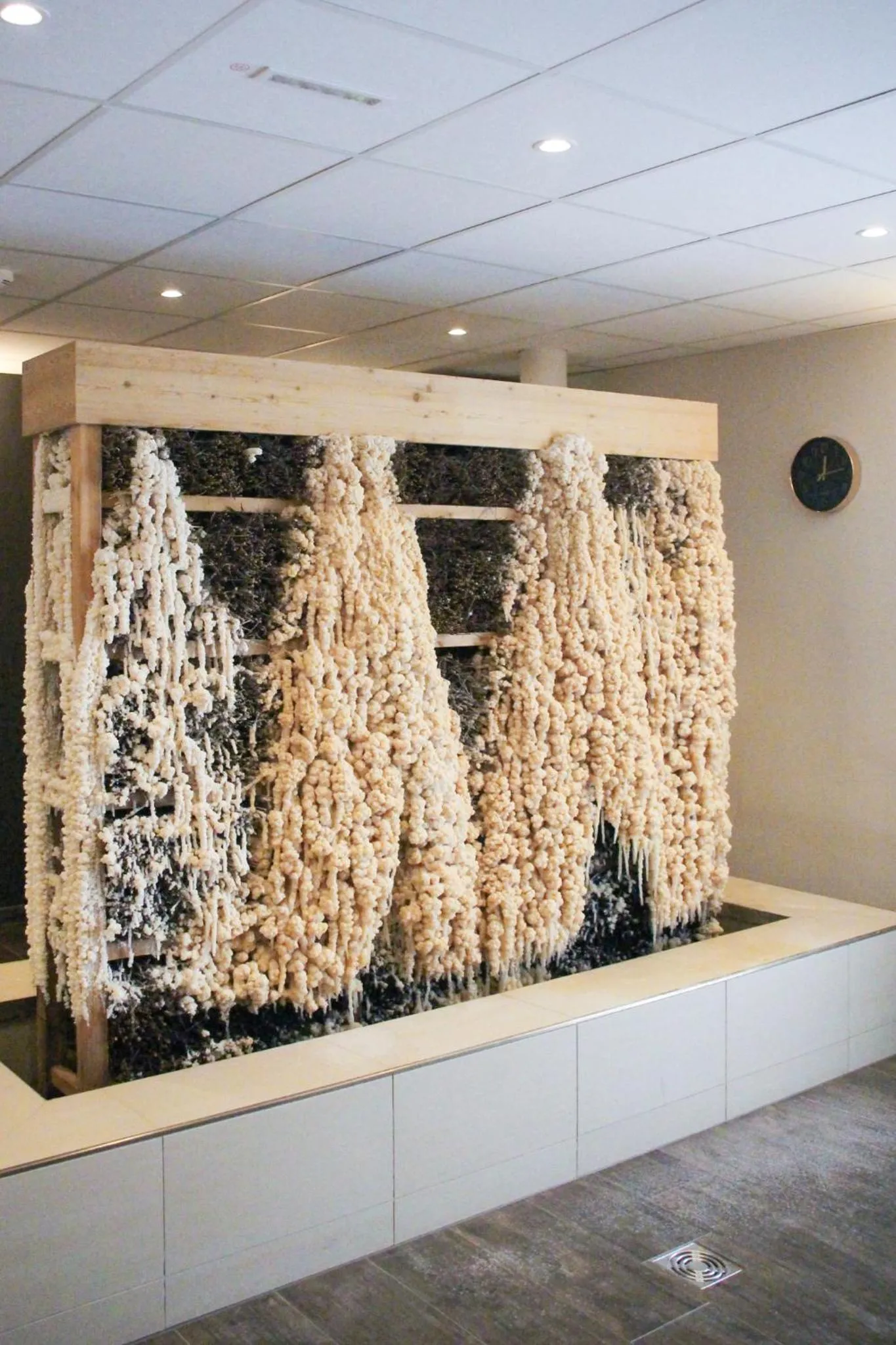 Sauna in Kaiserhof Victoria