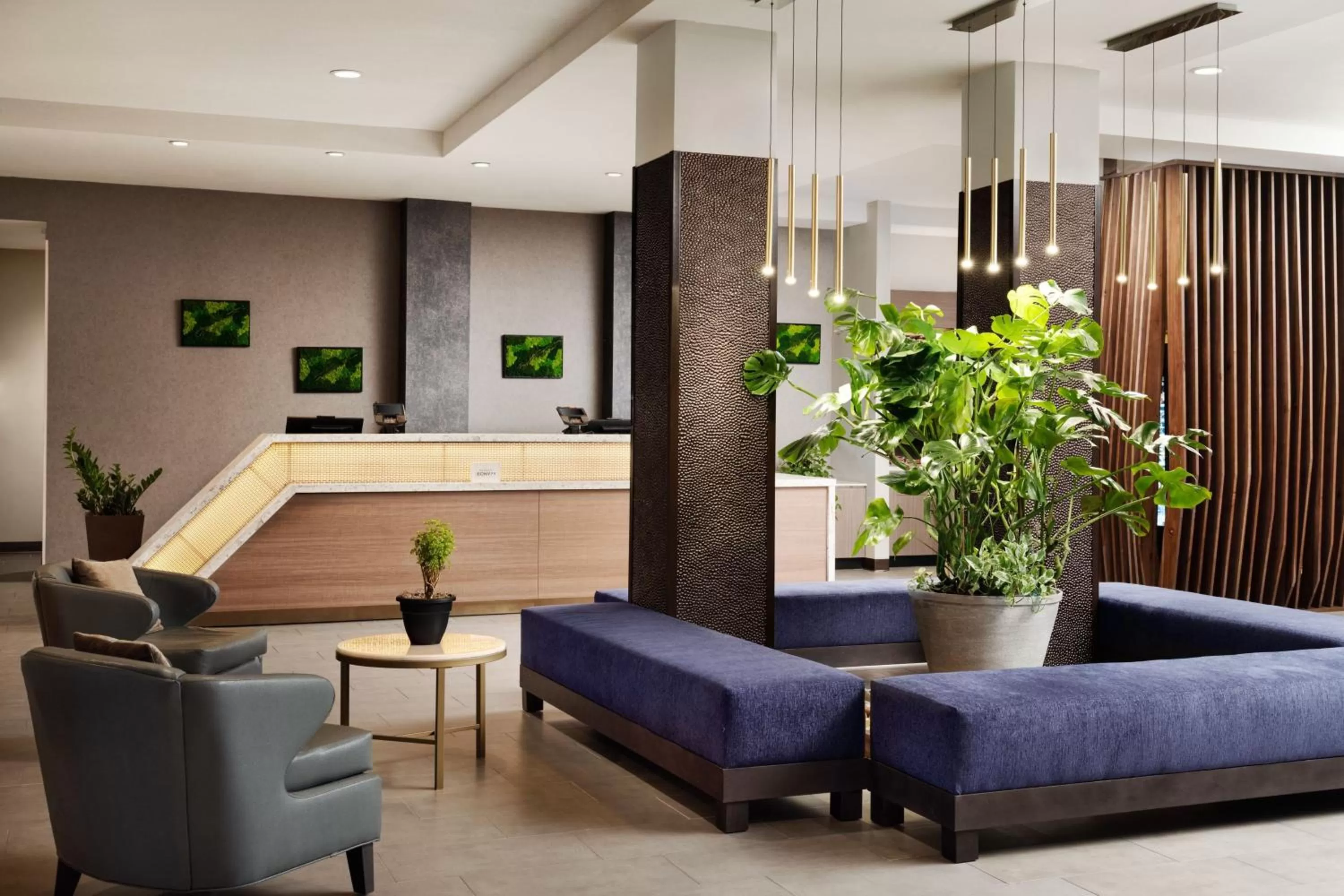 Lobby or reception in SpringHill Suites by Marriott Milpitas Silicon Valley