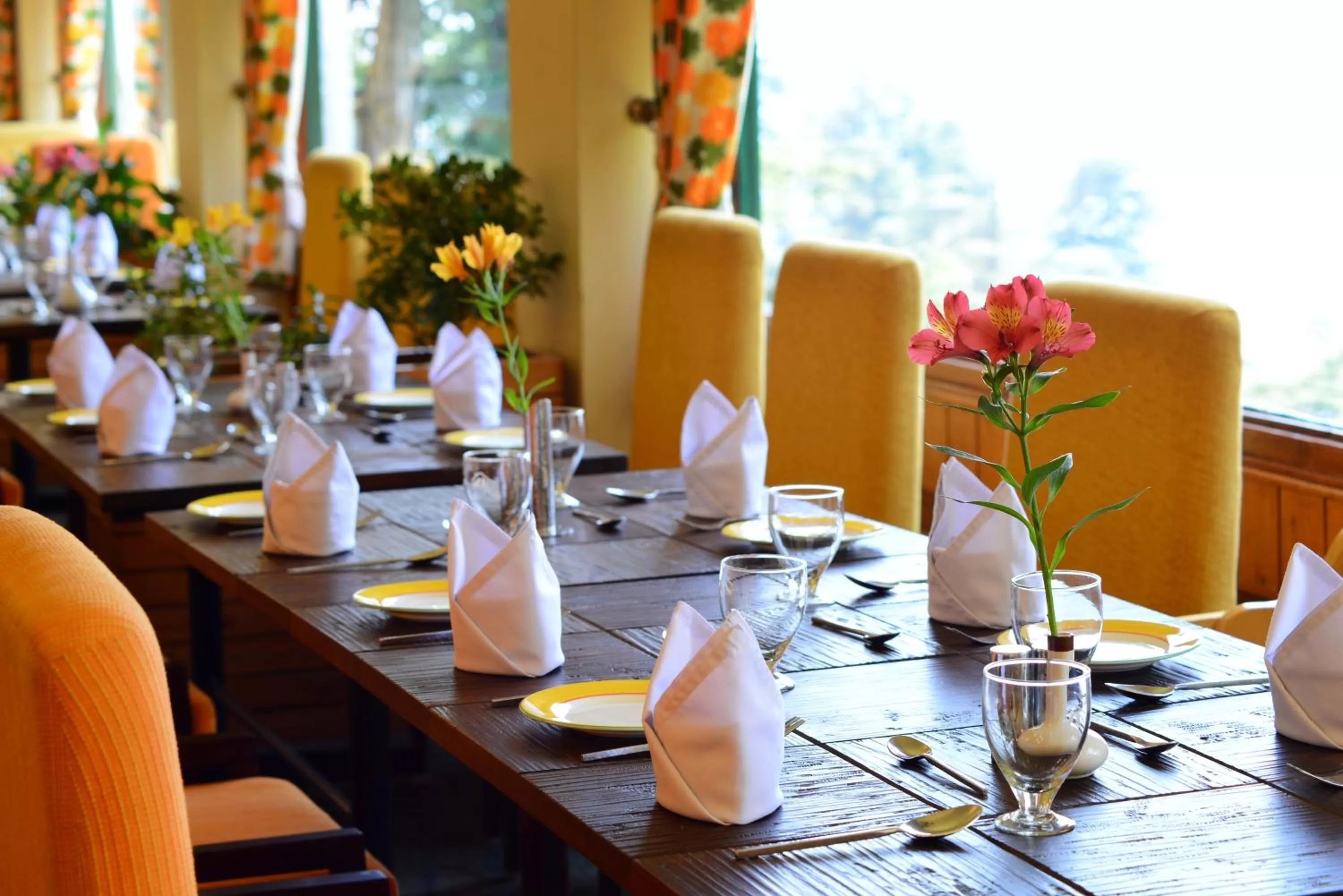 Restaurant/places to eat in Honeymoon Inn Shimla