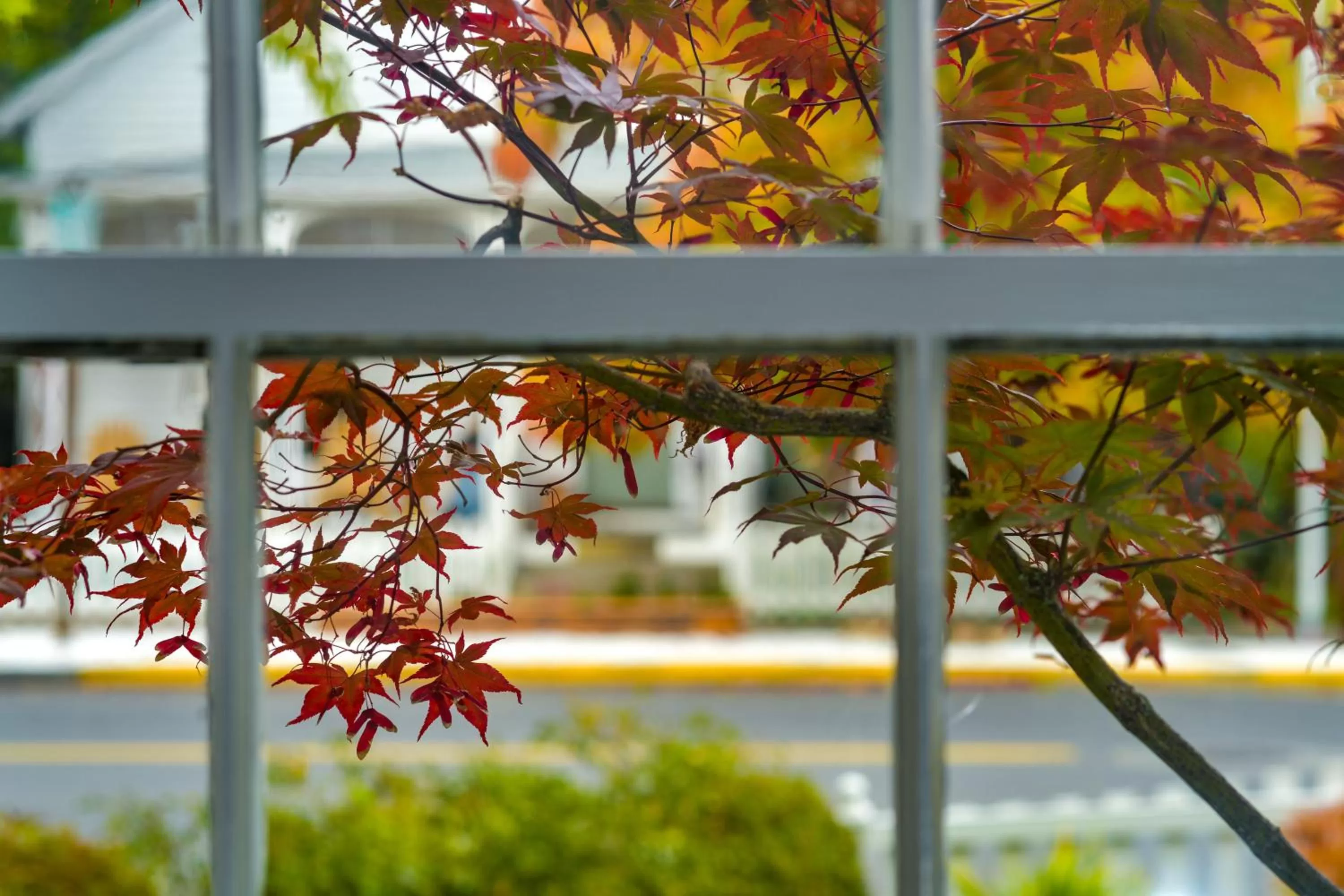 View (from property/room) in McCully House Inn