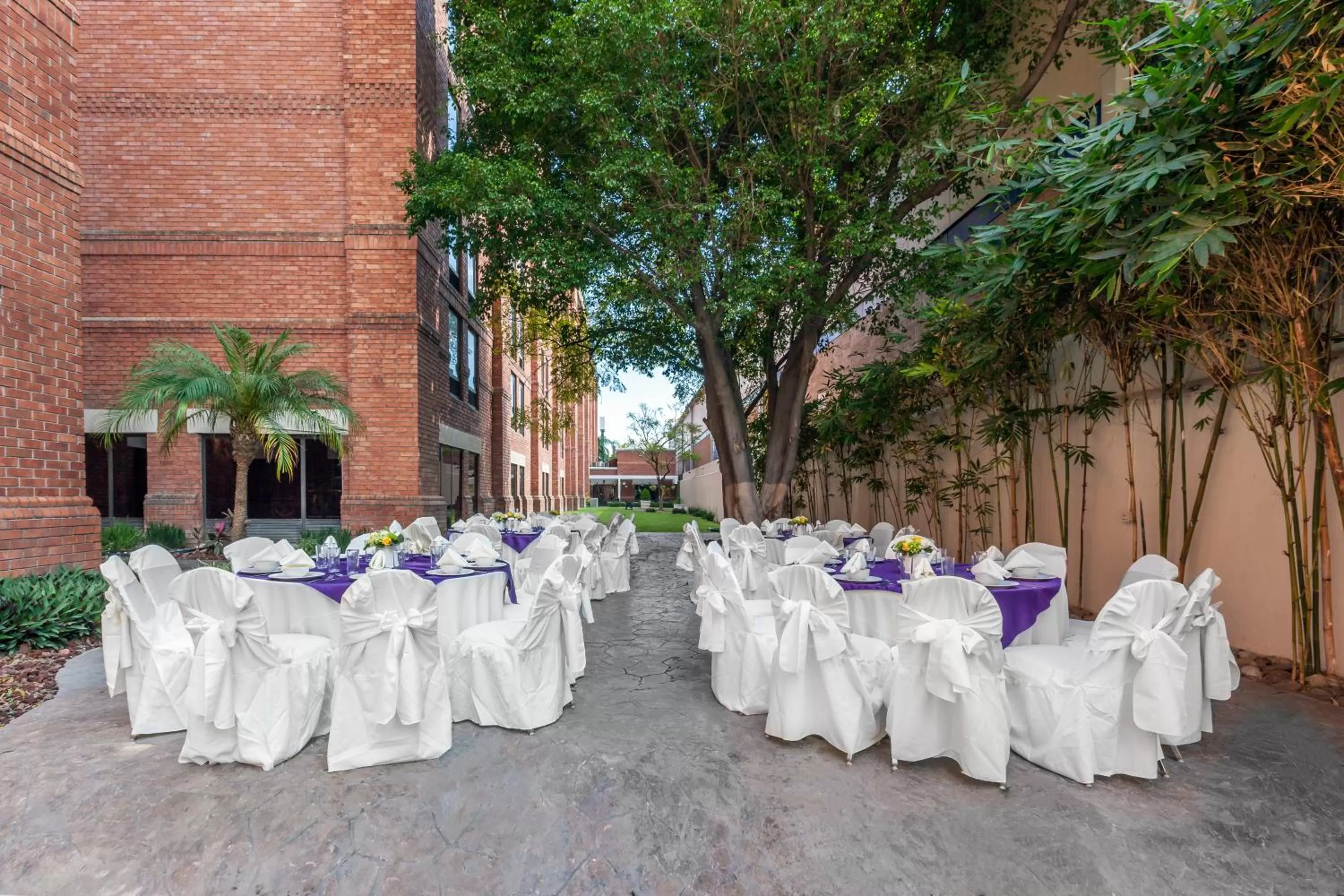 Banquet/Function facilities in Wyndham Garden Monterrey Norte