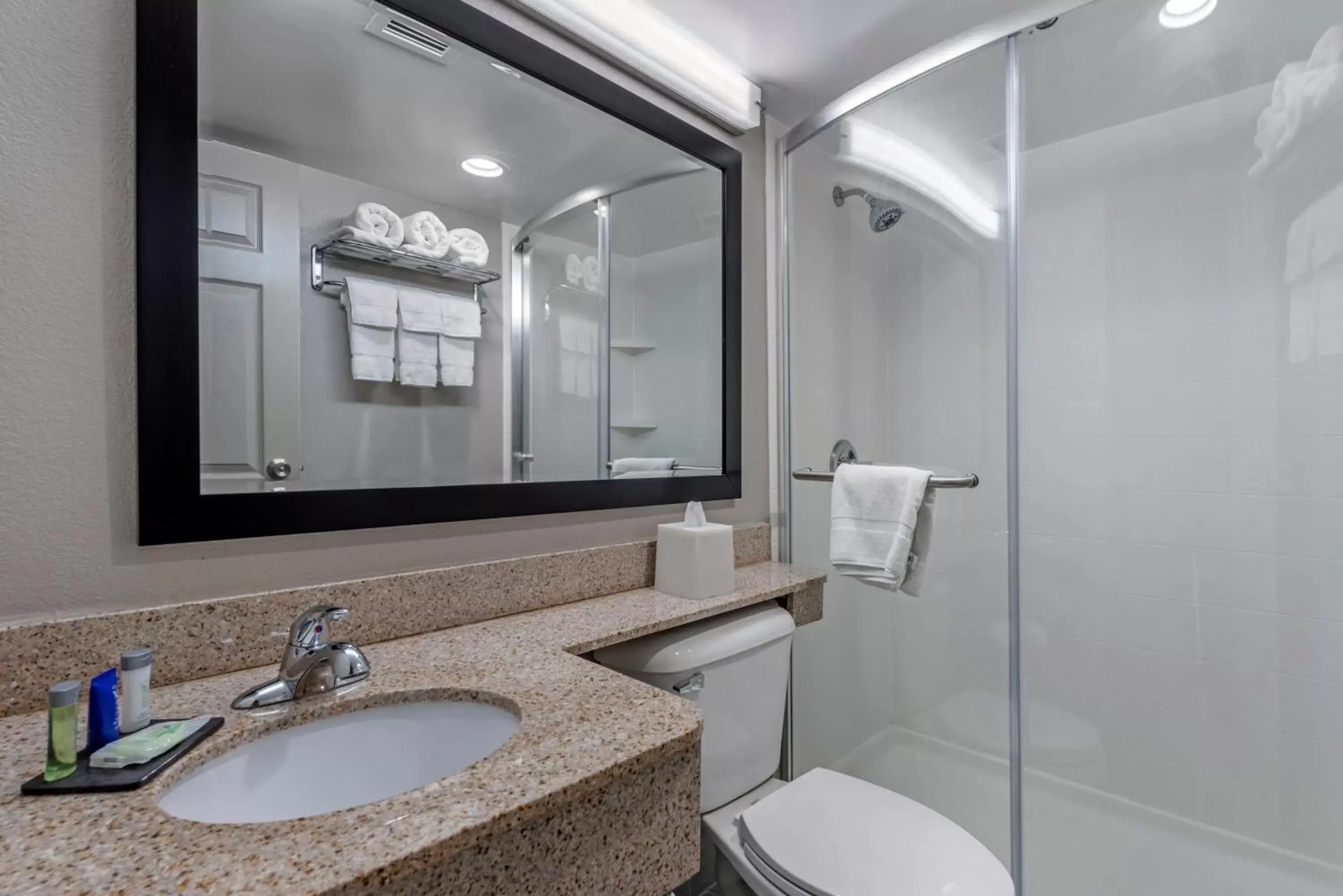 King Room - Disability Access/Non-Smoking in Sleep Inn Terre Haute University Area King Room - Disability Access/Non-Smoking in Sleep Inn Terre Haute University Area