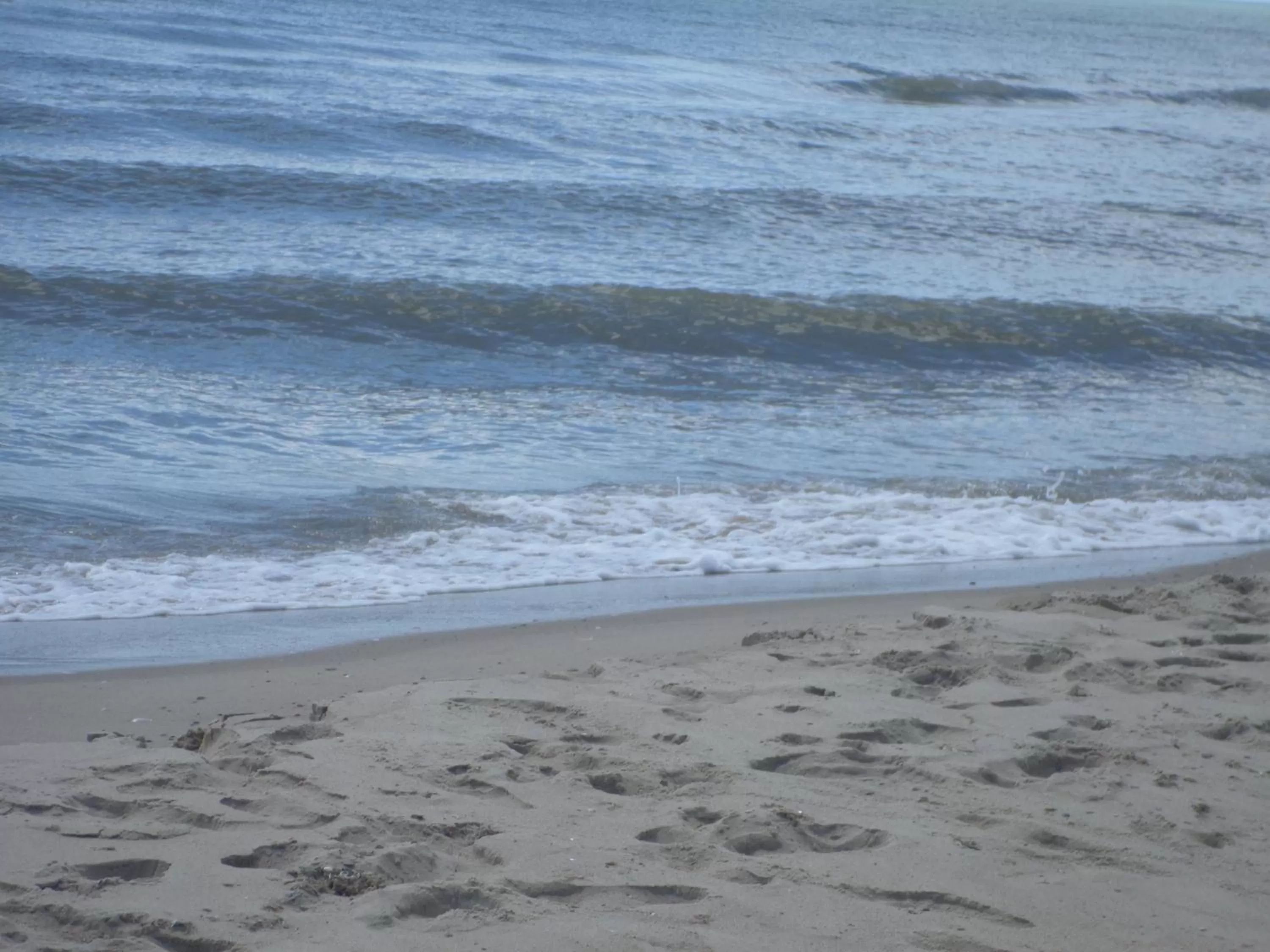 Spring, Beach in Zolotoy Bereg Hotel