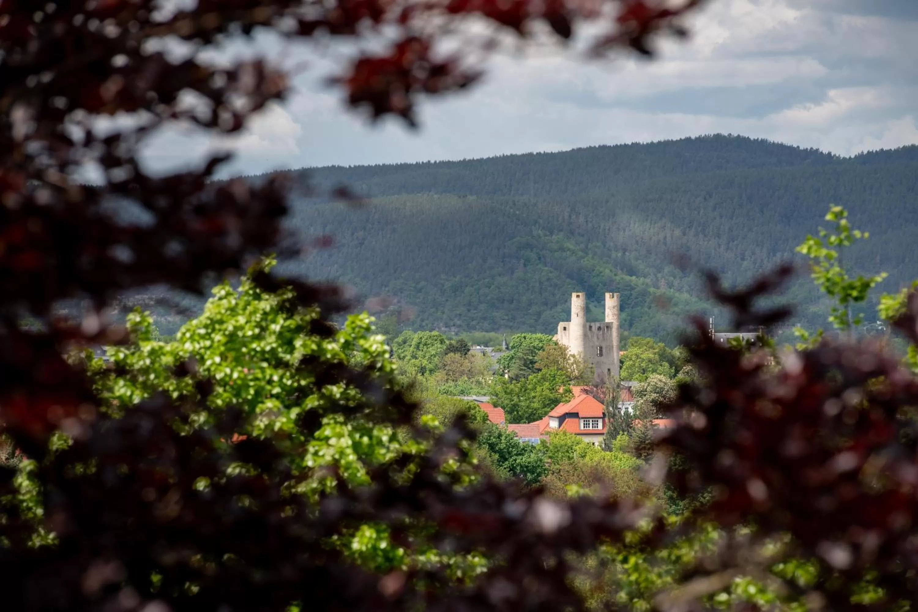 Natural landscape in Hotel Asterra