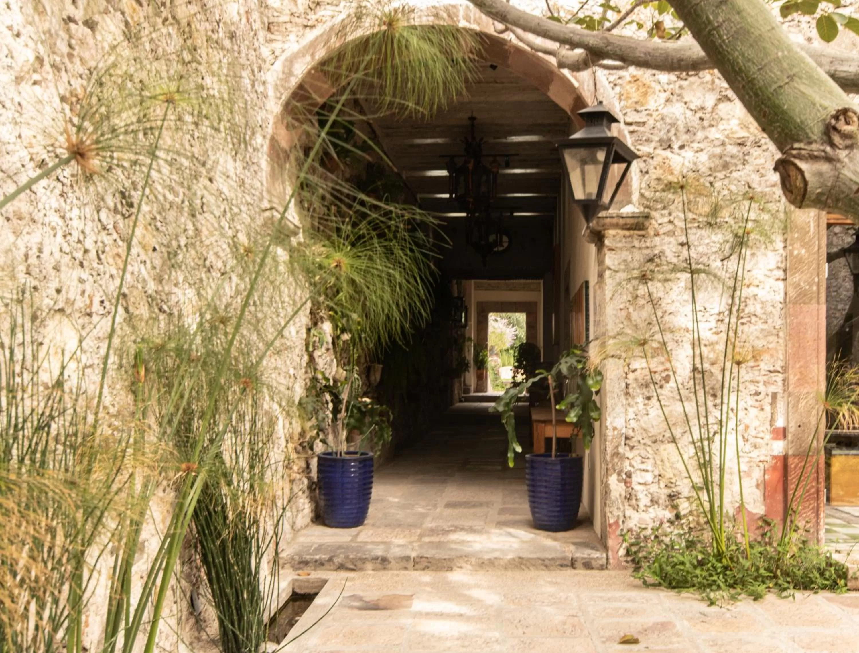 Patio in Orchid House San Miguel de Allende