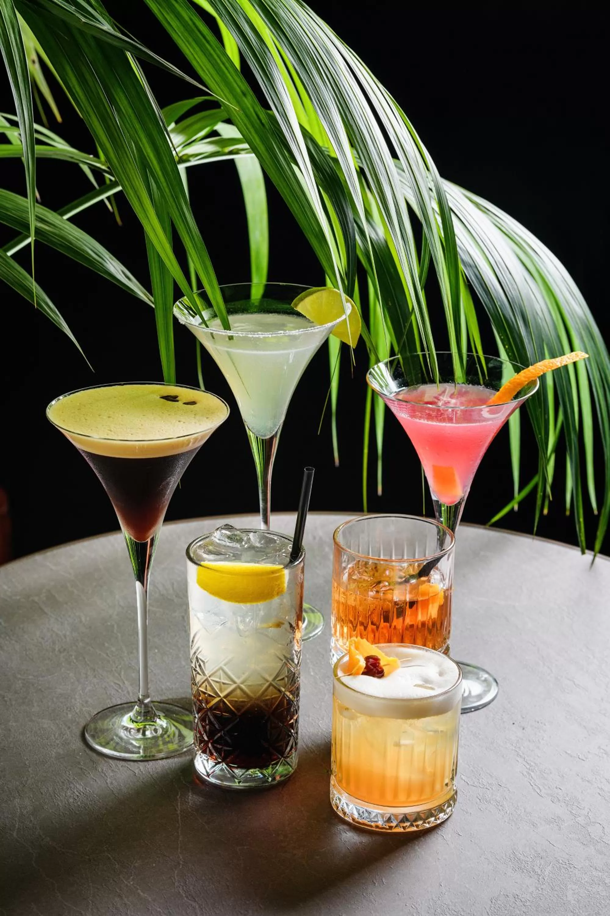 Lounge or bar, Drinks in Hotel Uji Ftohte Tepelene