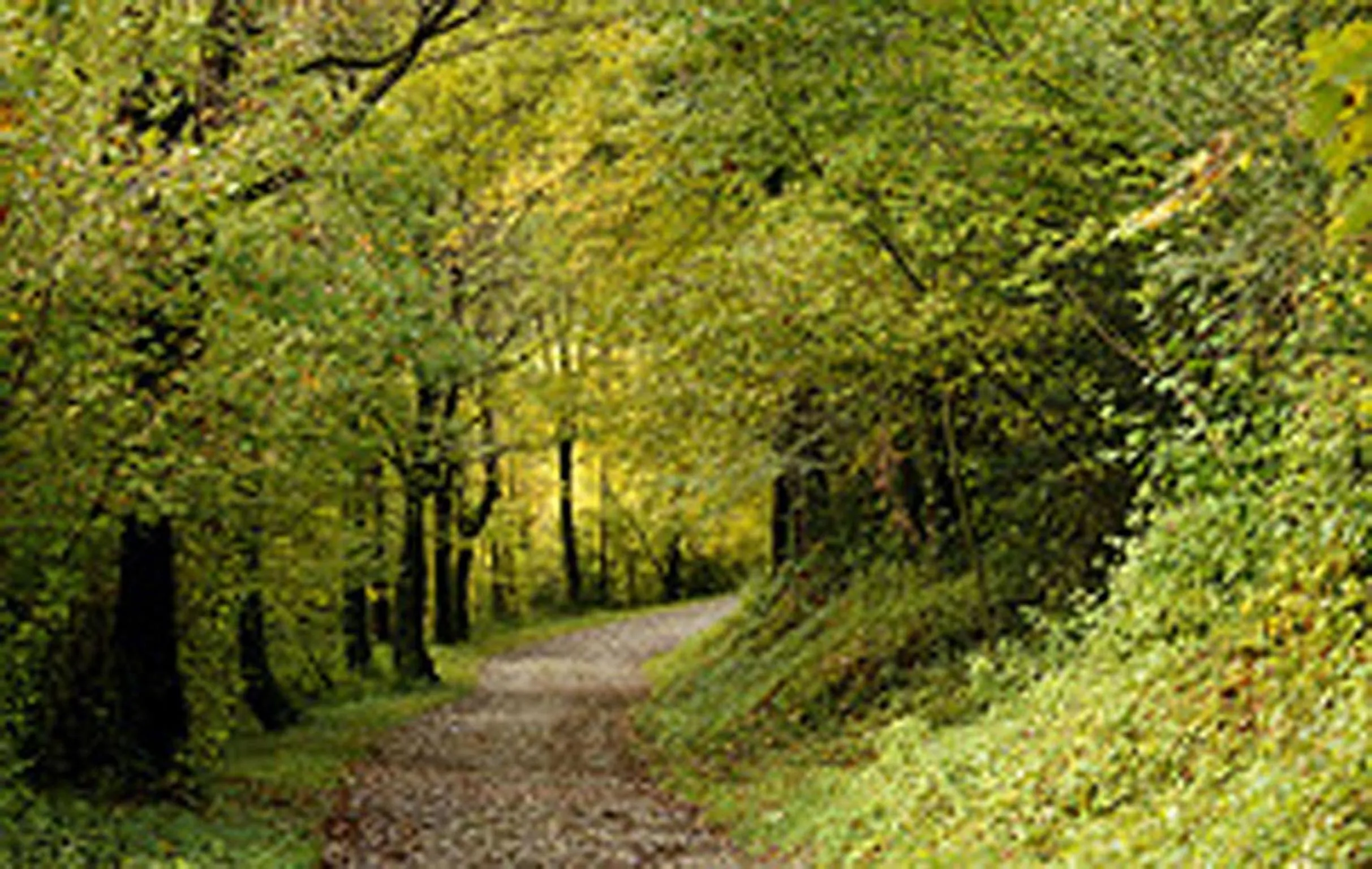 Area and facilities in Hotel Sant Quirze De Besora