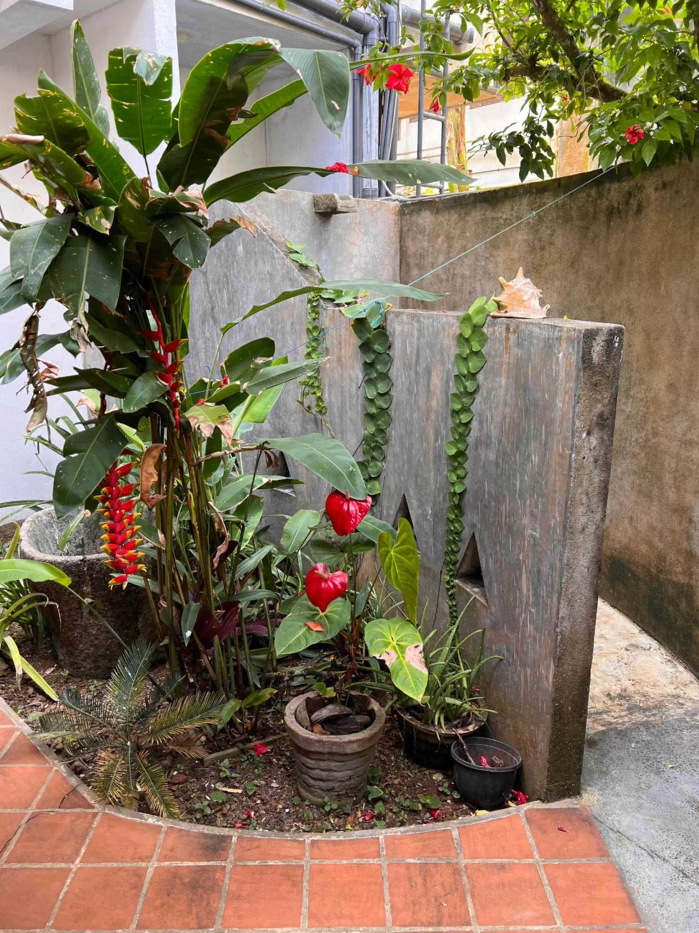 Shower in Galawatta Beach Resort